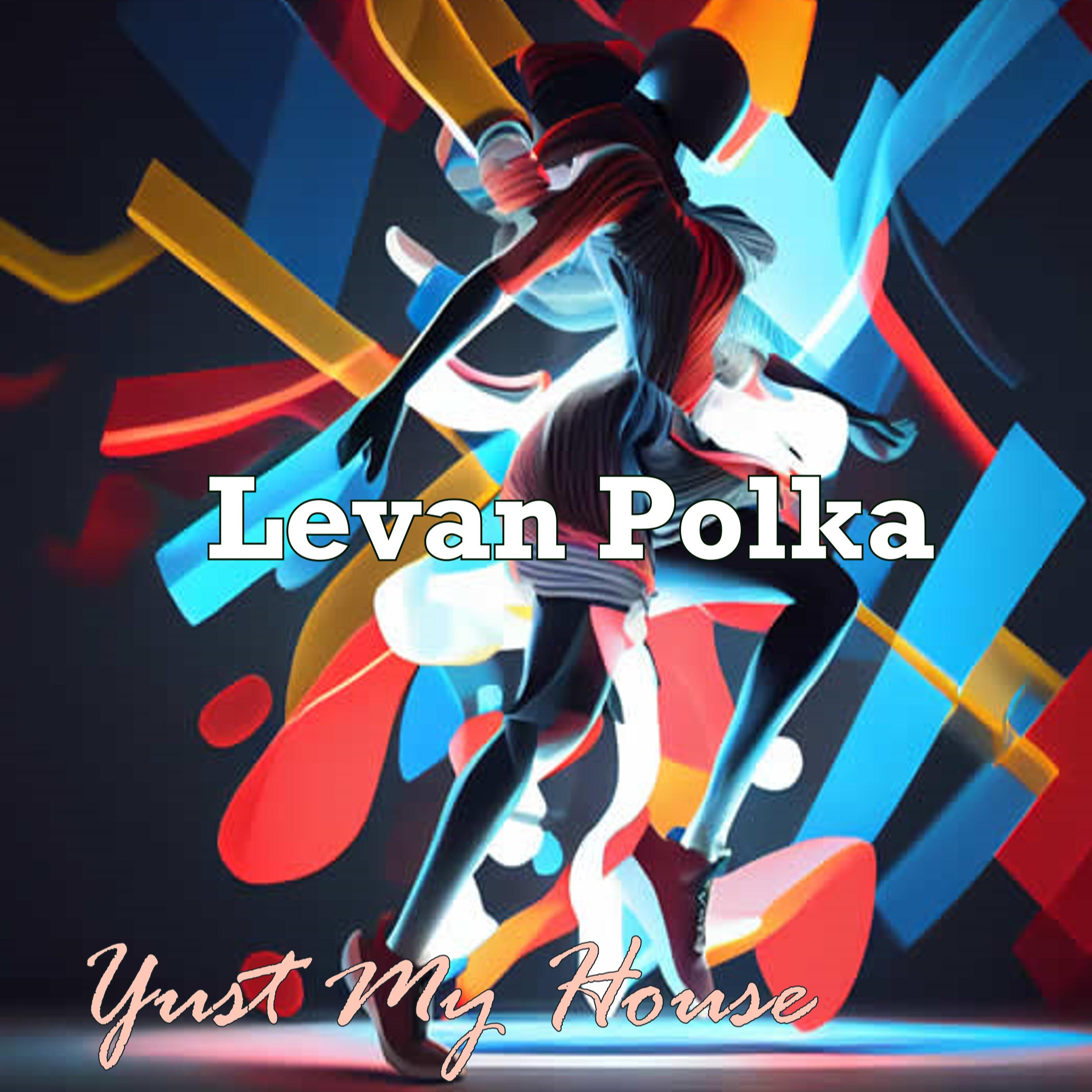 Постер альбома Levan Polka