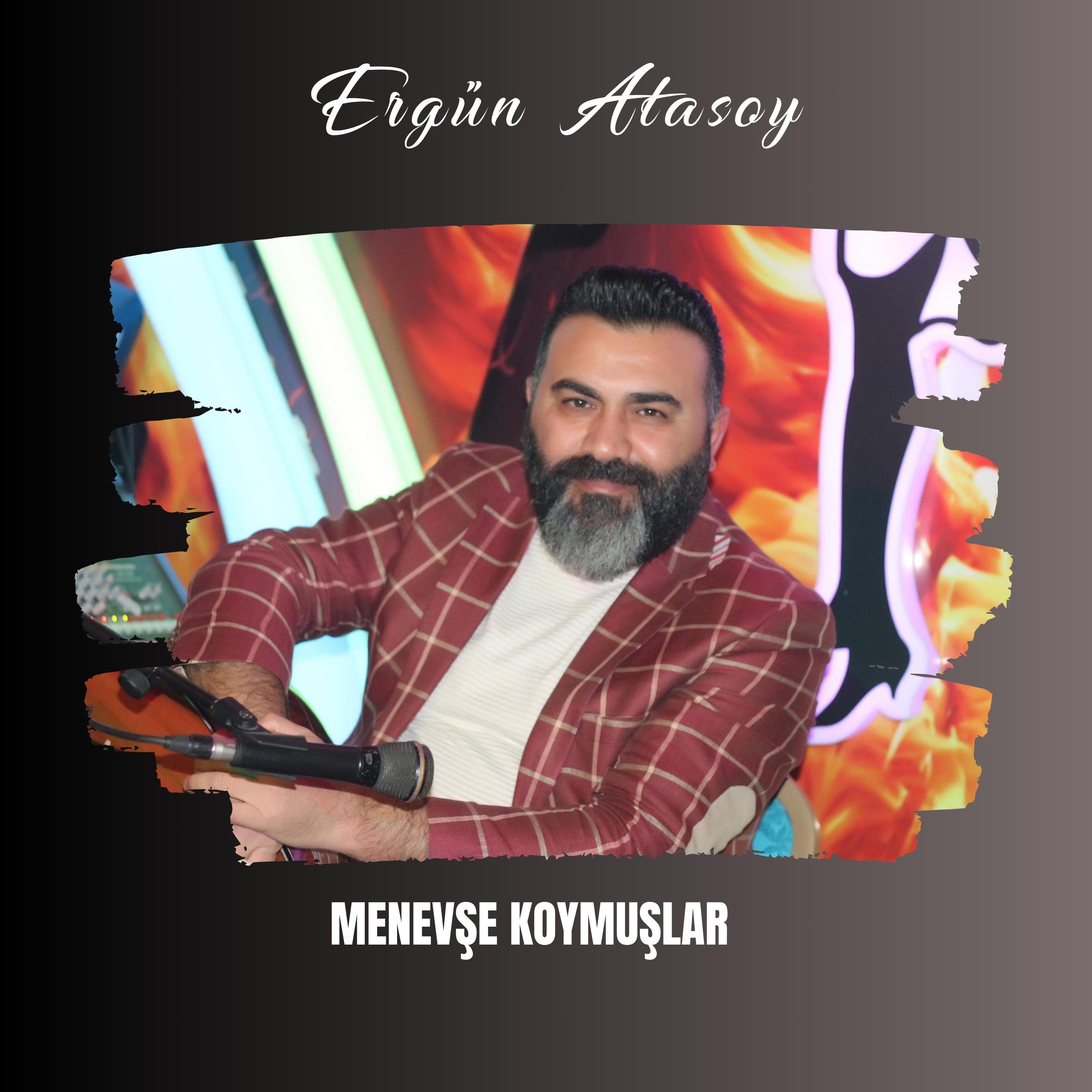 Постер альбома Menevşe Koymuşlar