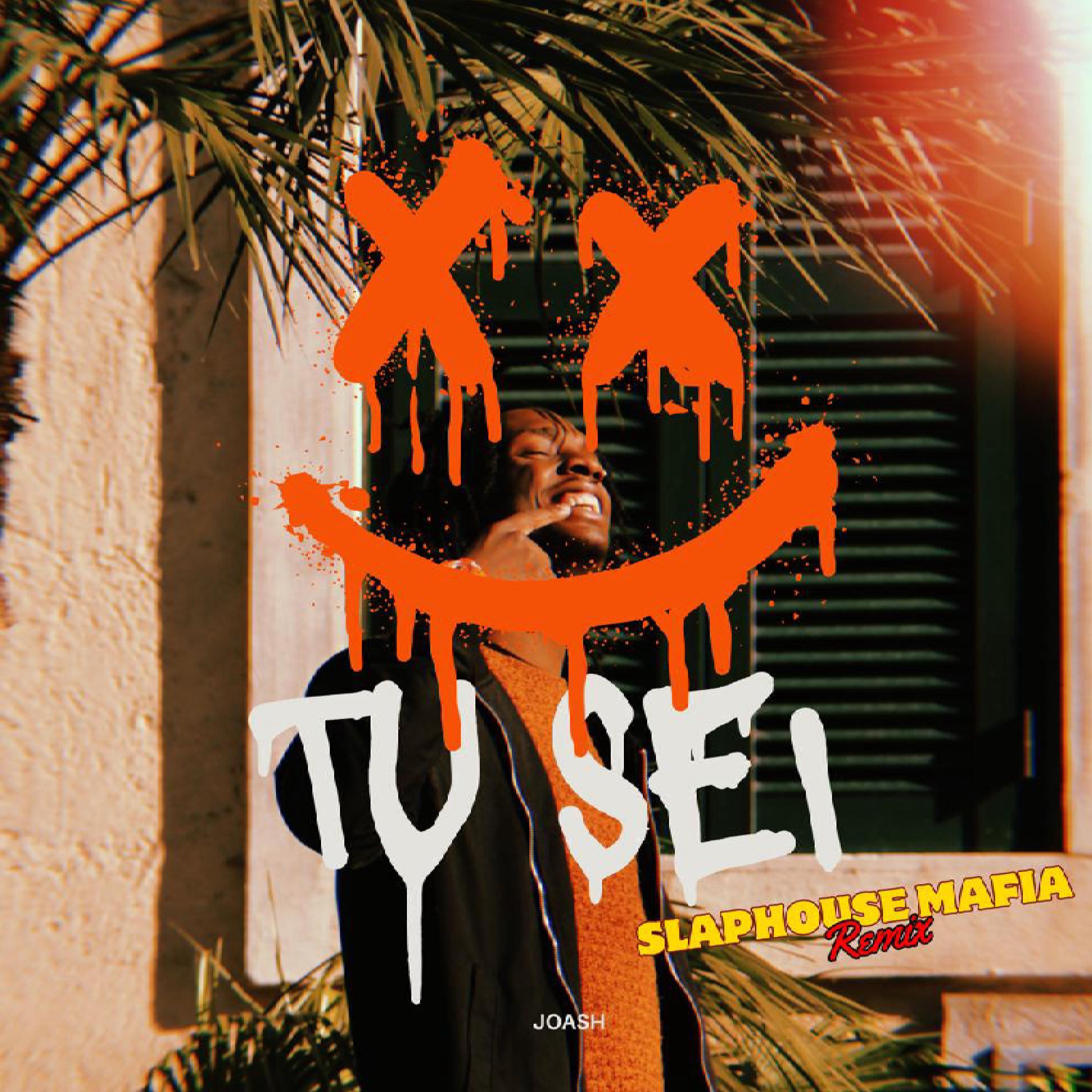 Постер альбома TU SEI (Slap House Mafia Remix)