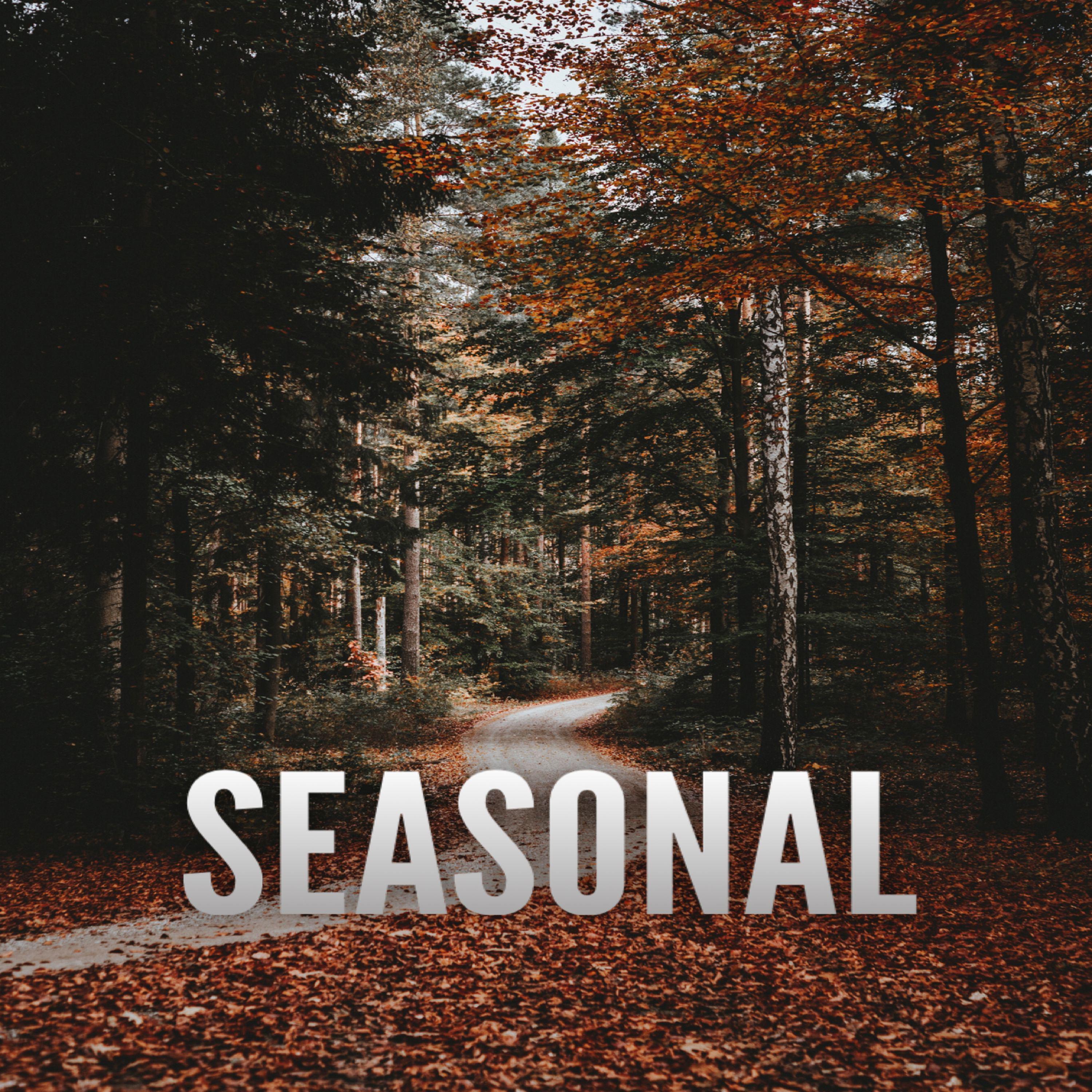 Постер альбома Seasonal