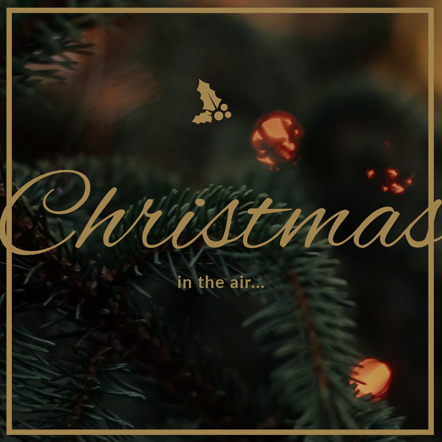 Постер альбома Christmas in the Air...