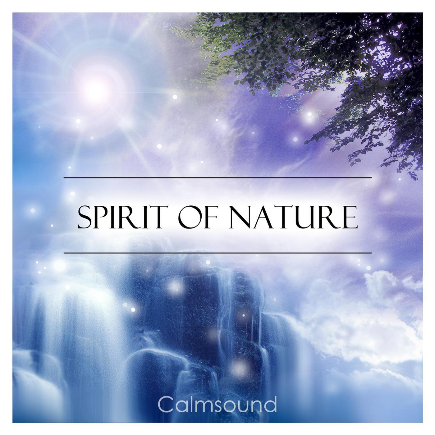 Calmsound - Campfire Beneath the Stars - Relax and Find Inner Peace as You Connect With Nature