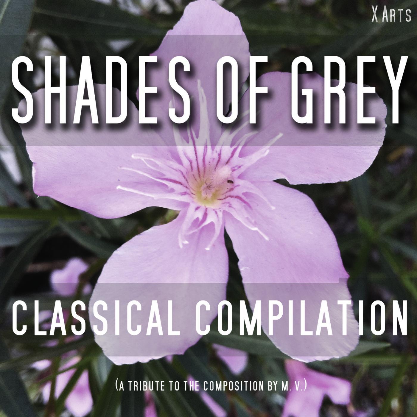 Постер альбома Shades of Grey - Classical Compilation ( 50 Tracks )