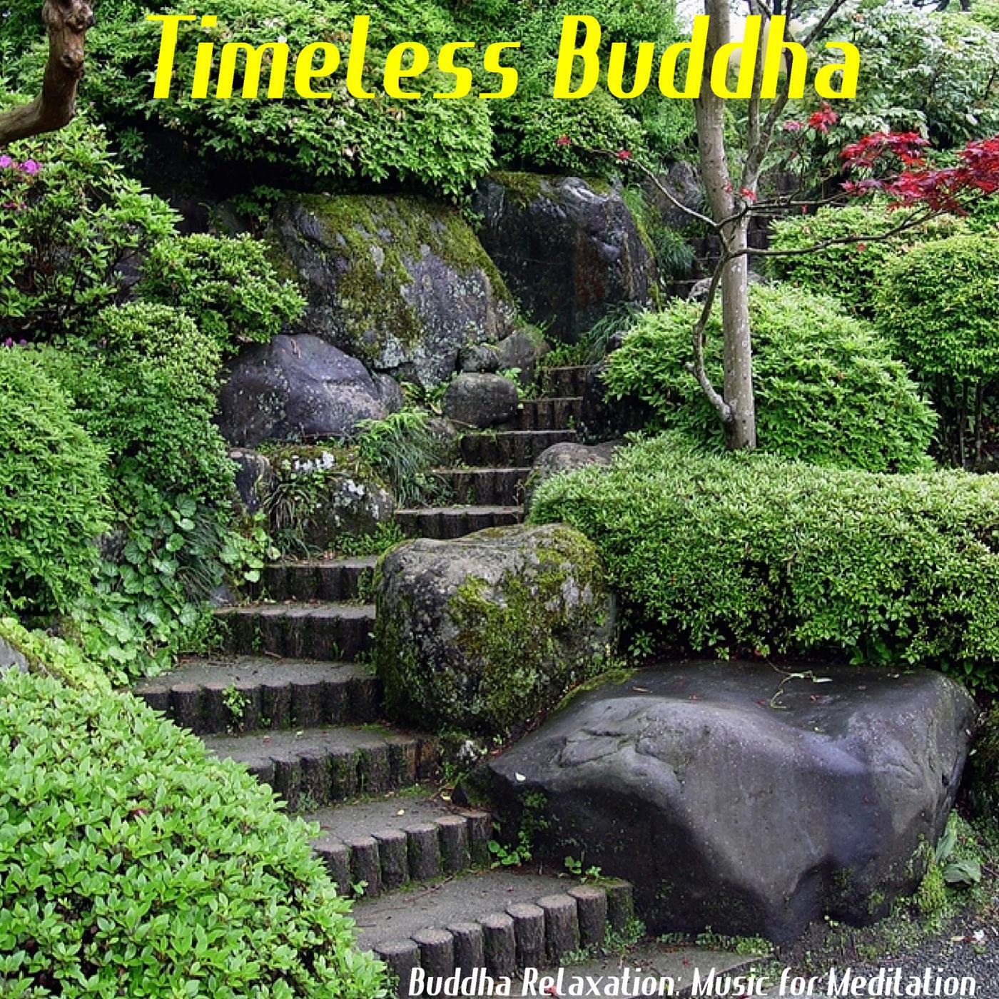 Timeless Buddha - Tibetan Singing Bowl for Meditation and Relaxation