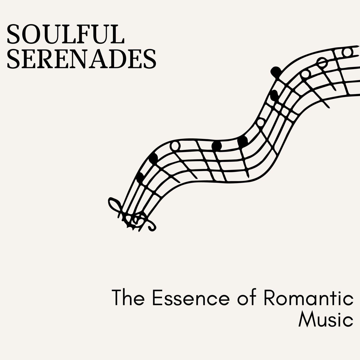 Постер альбома Soulful Serenades - The Essence of Romantic Music