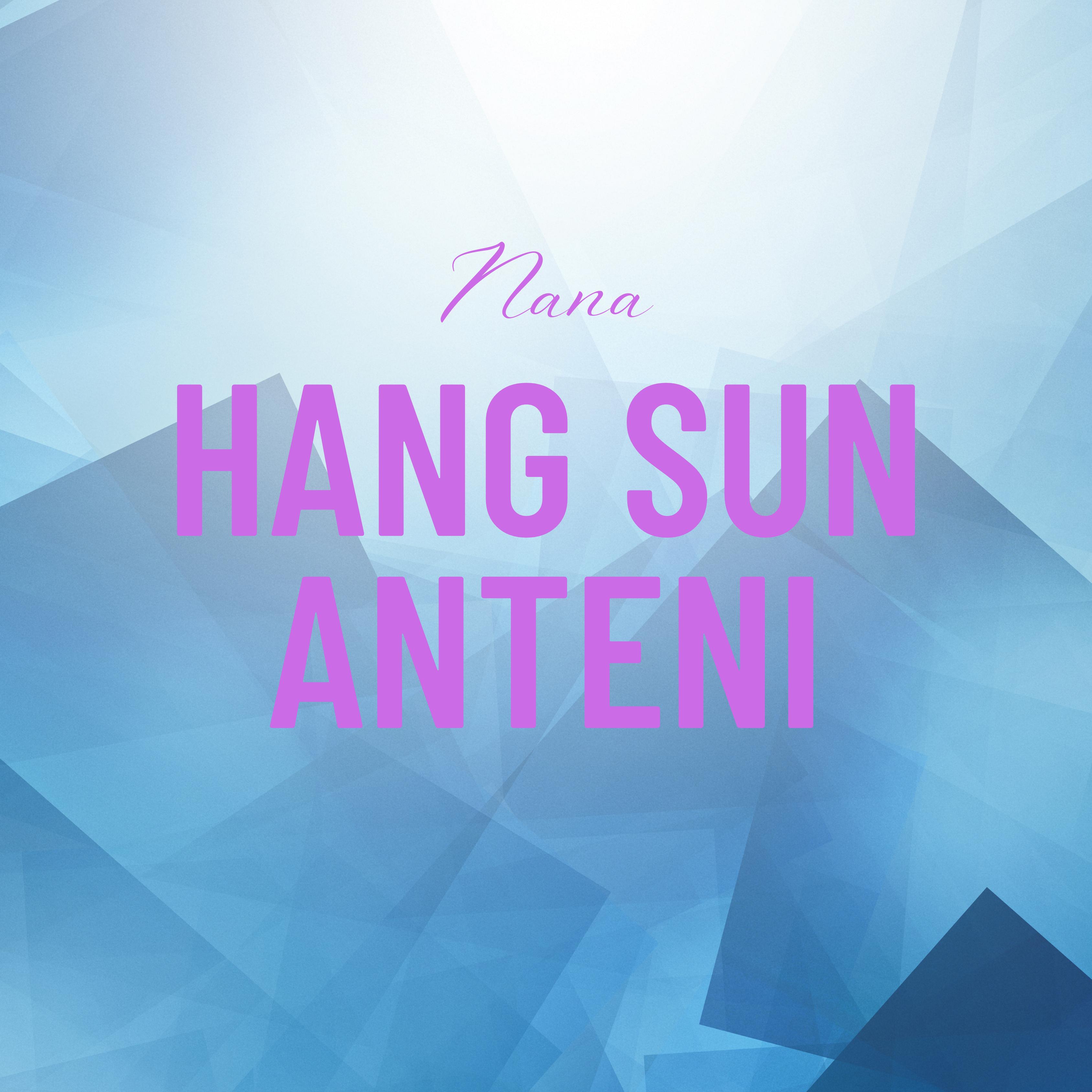 Постер альбома Hang Sun Anteni