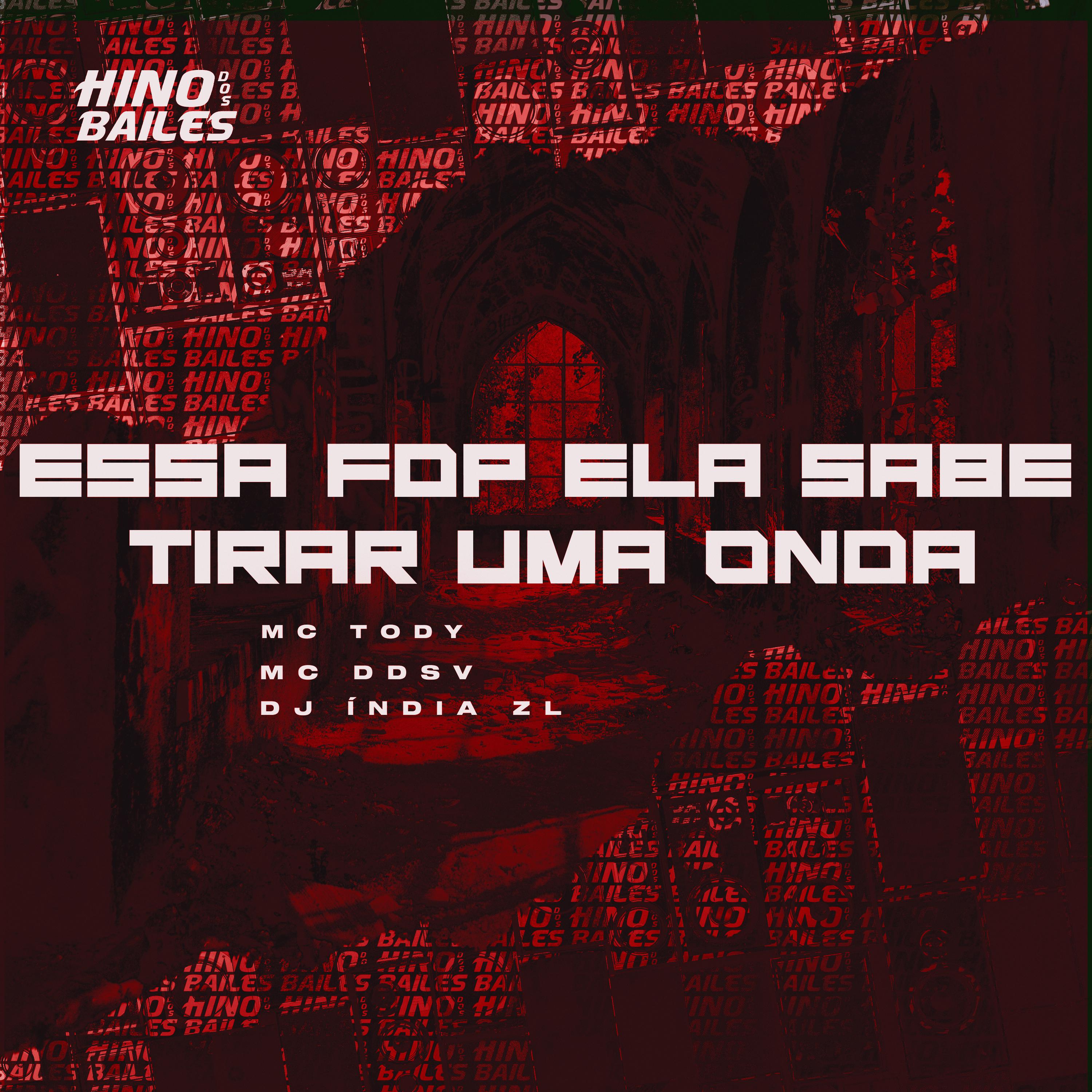 Постер альбома Essa Fdp Ela Sabe Tirar uma Onda