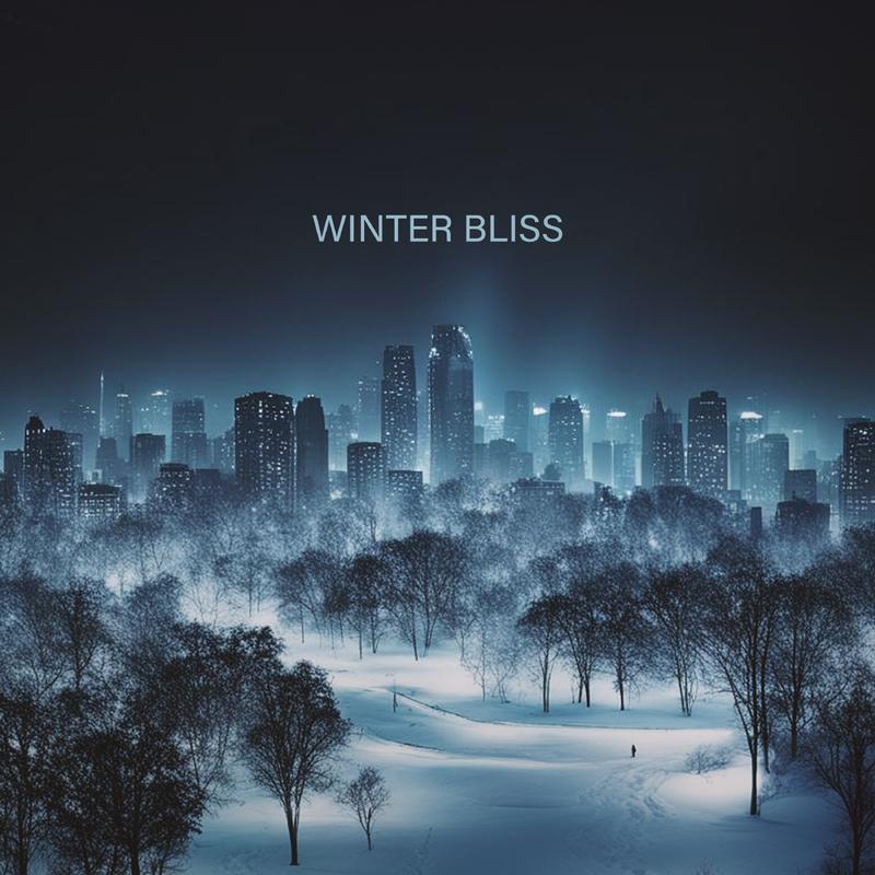 Постер альбома Winter Bliss