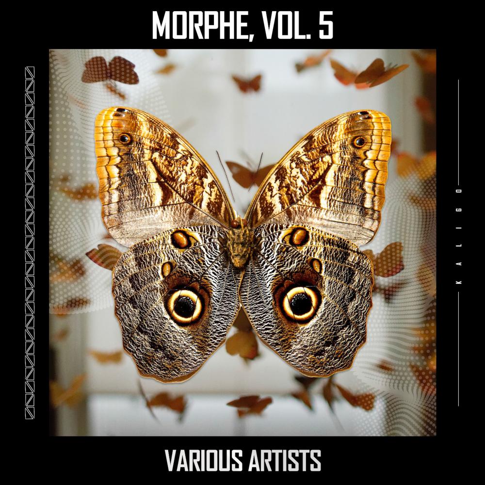 Постер альбома Morphe, Vol. 5