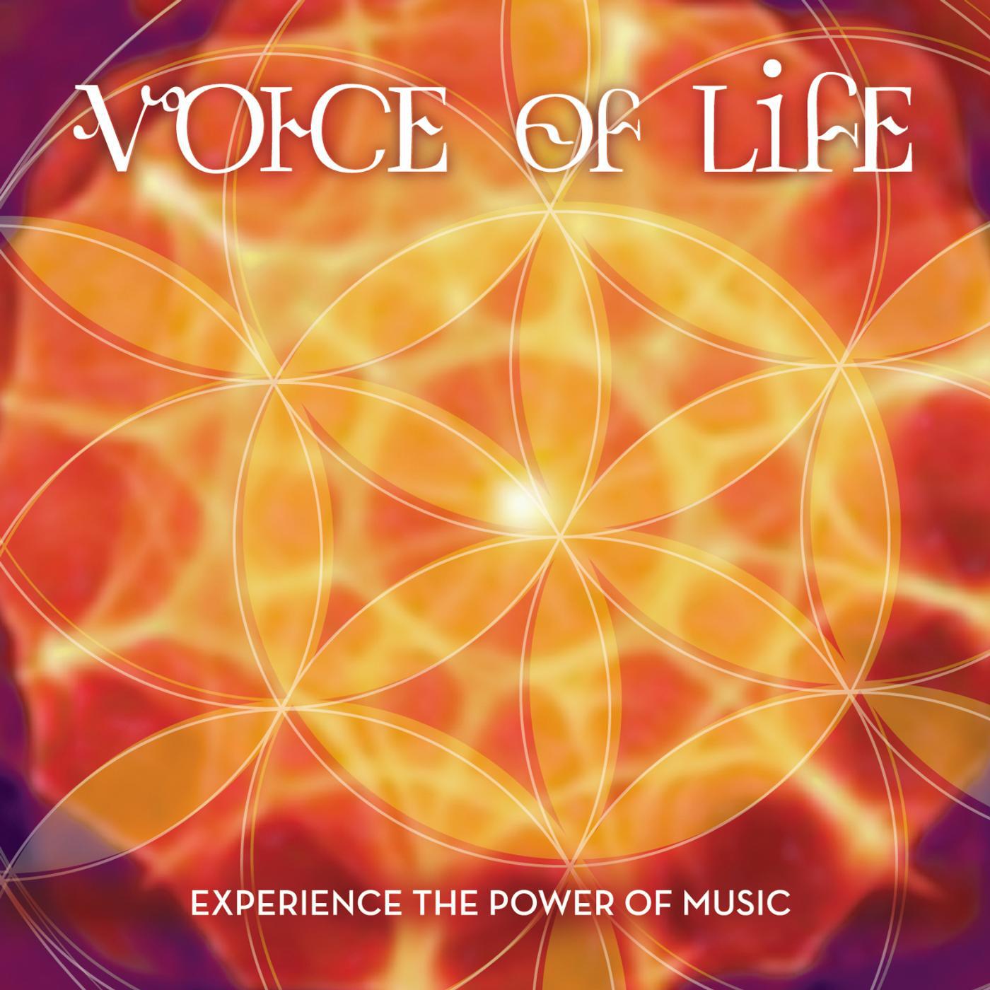 Постер альбома Voice of Life
