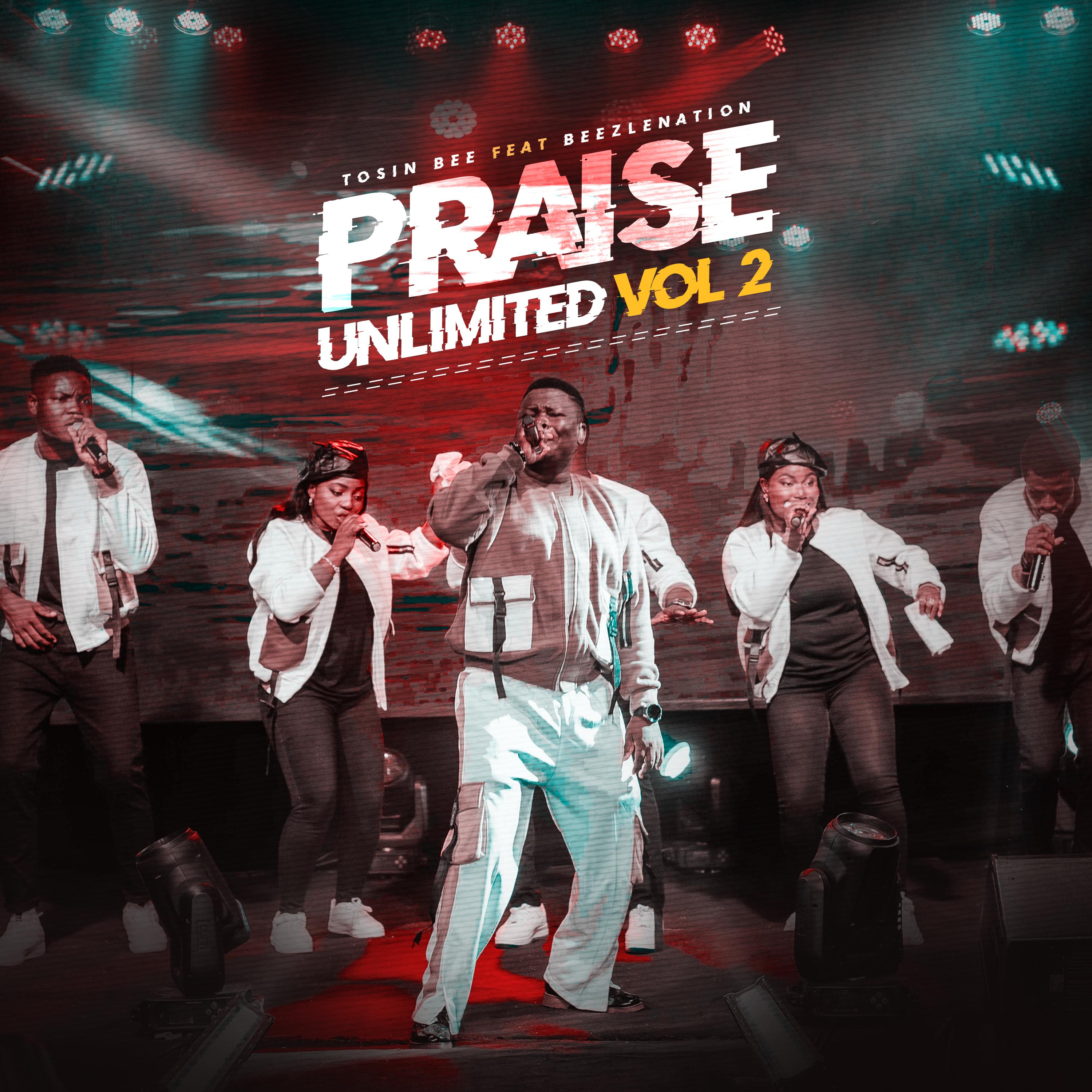 Постер альбома Praise Unlimited Volume 2