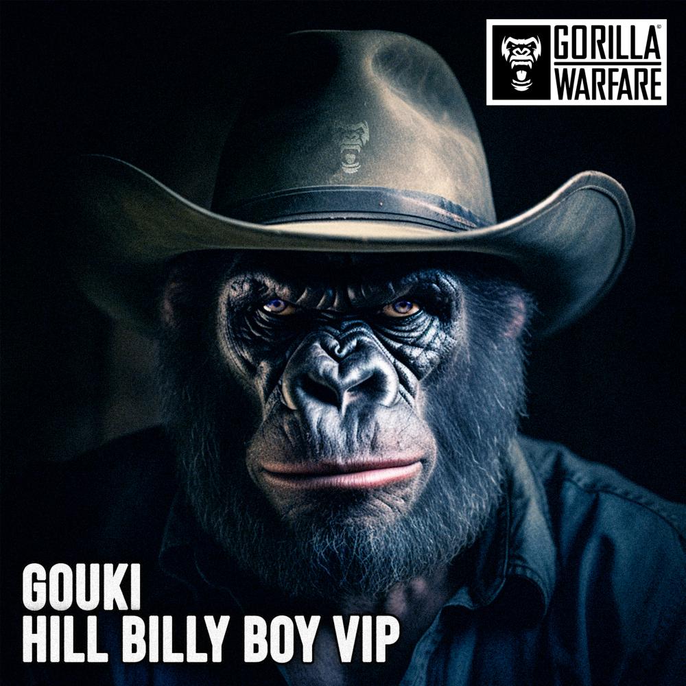 Постер альбома Hill Billy Boy VIP
