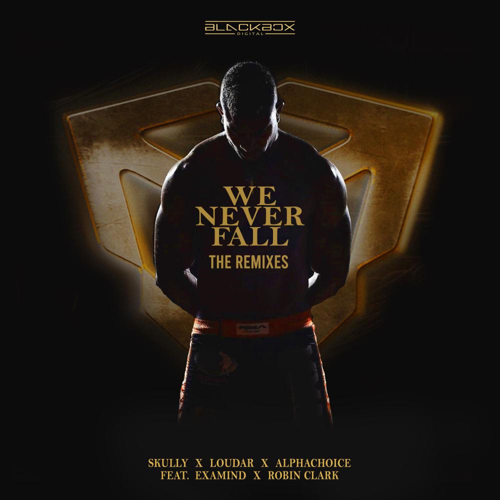 Постер альбома We Never Fall - The Remixes