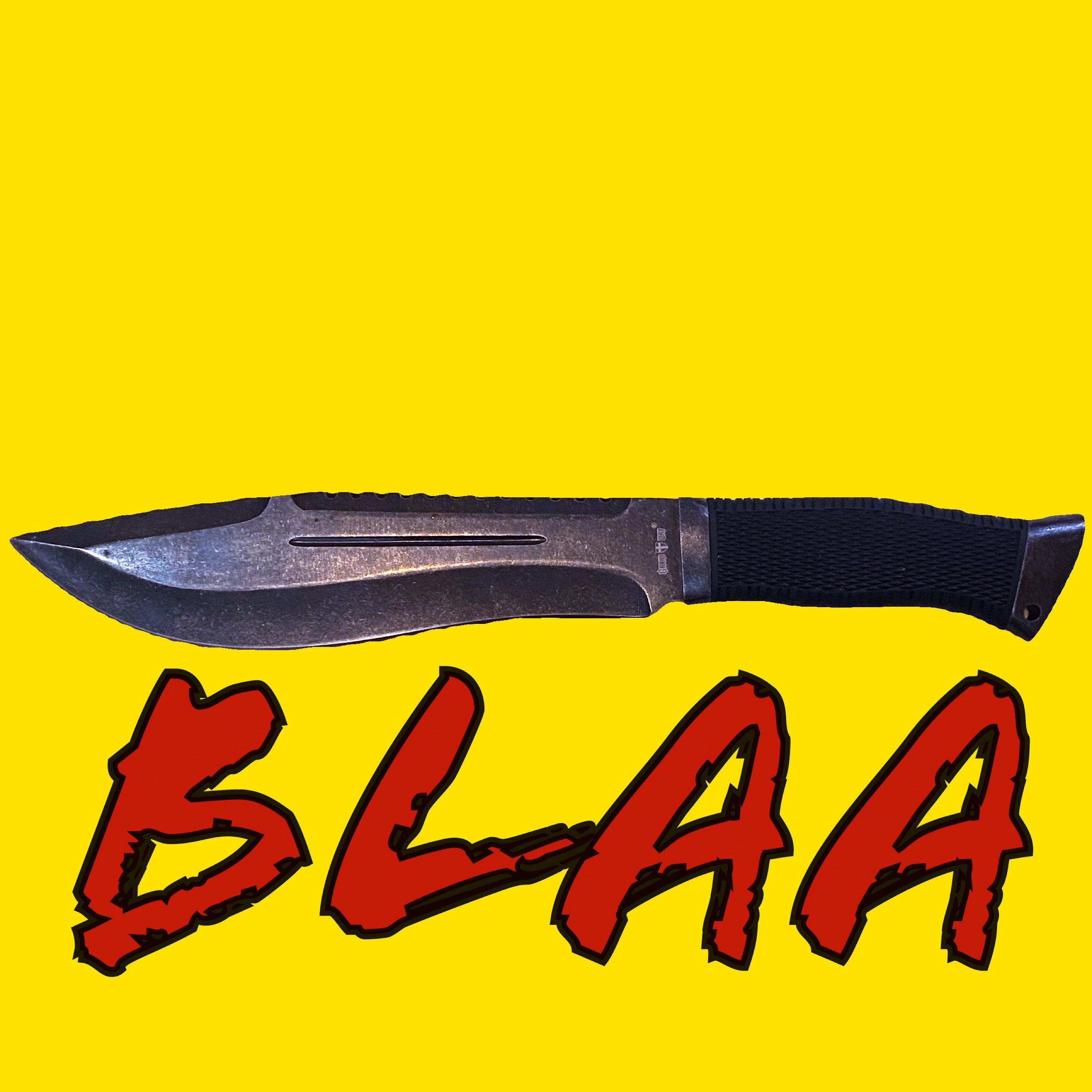 Постер альбома Blaa