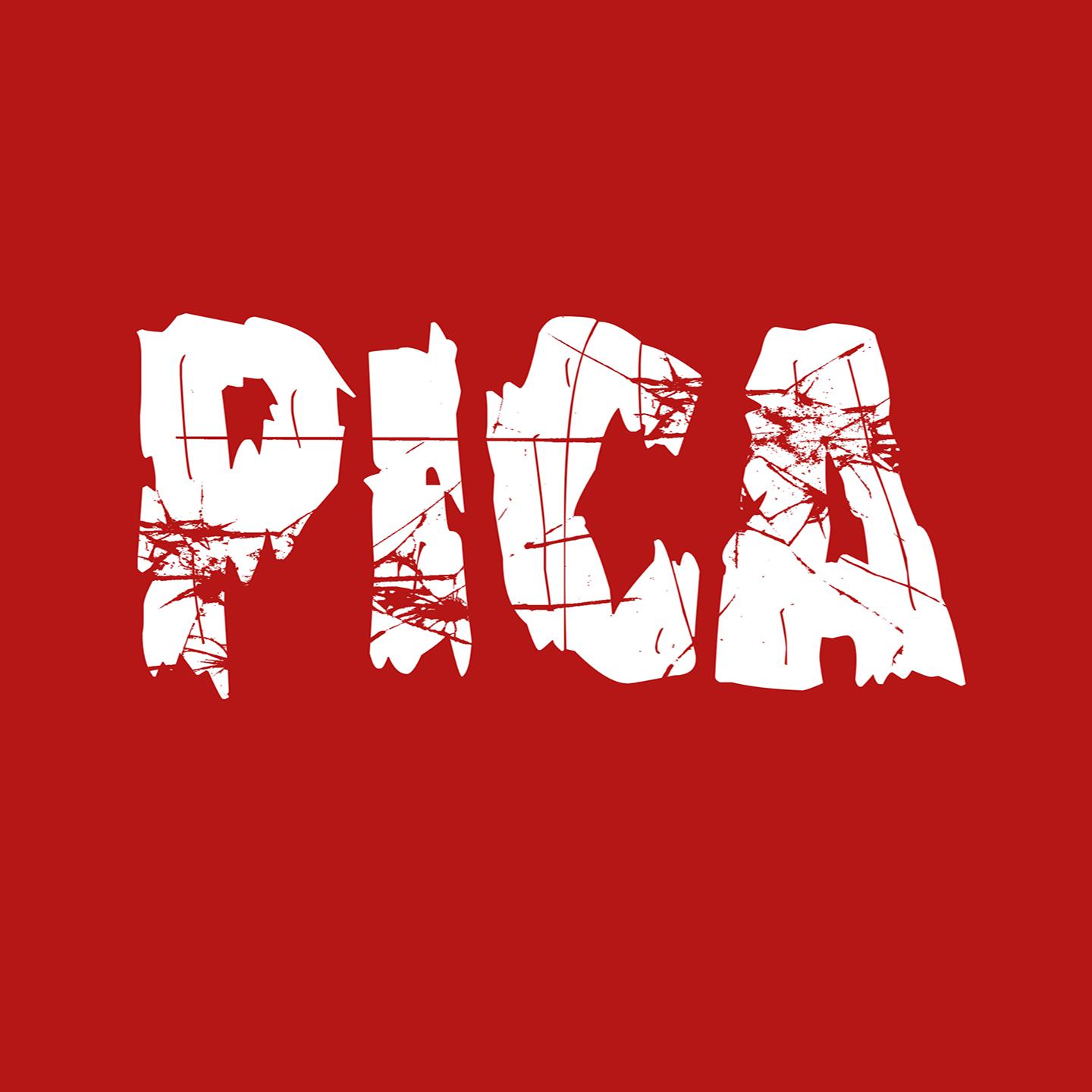 Постер альбома Pica