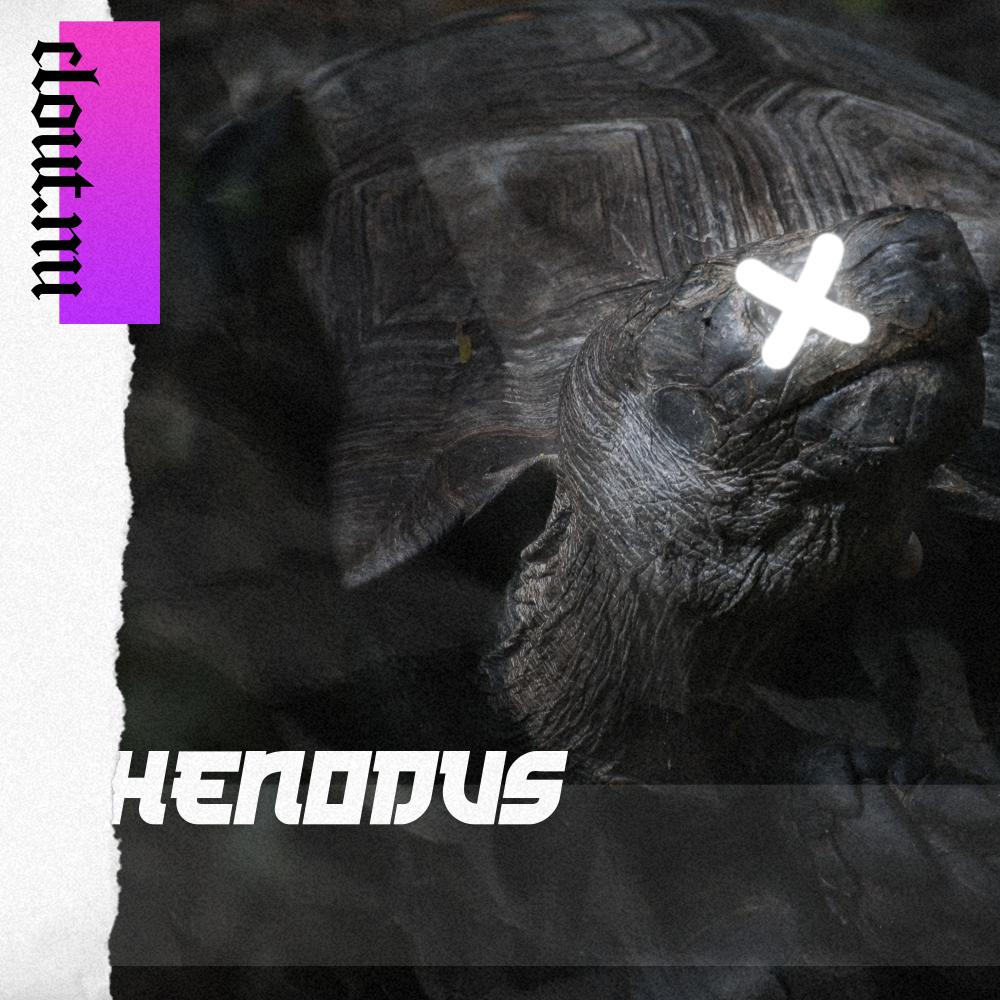Постер альбома Henodus
