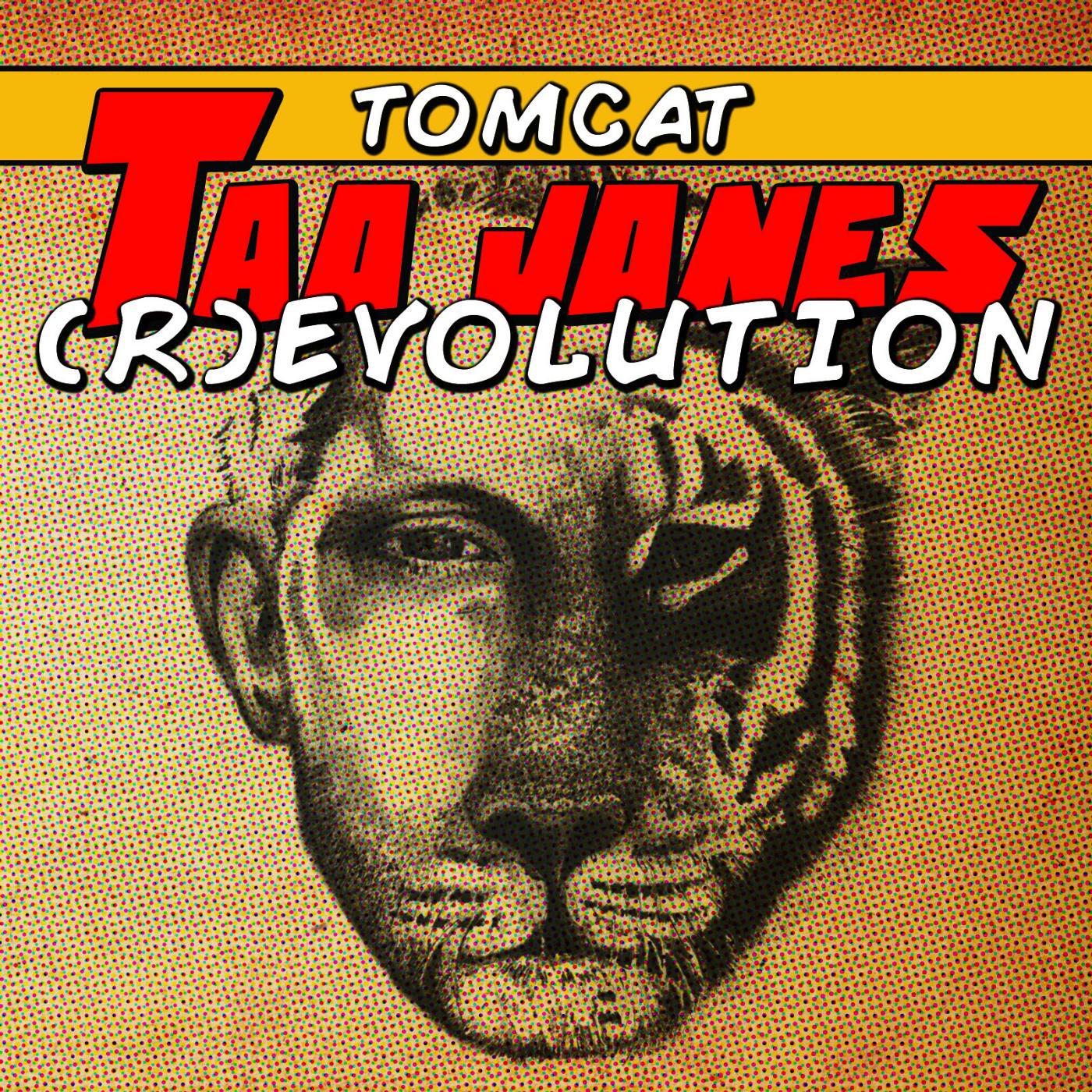 Постер альбома Tao Jones (R)Evolution