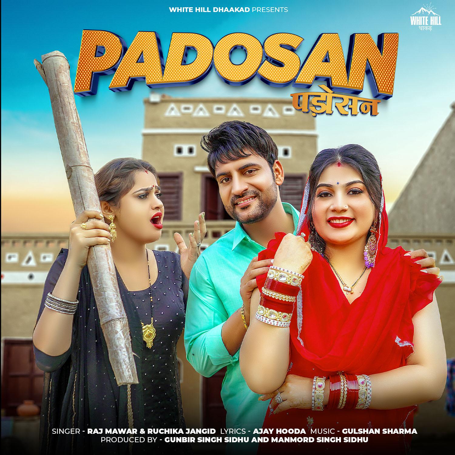 Постер альбома Padosan