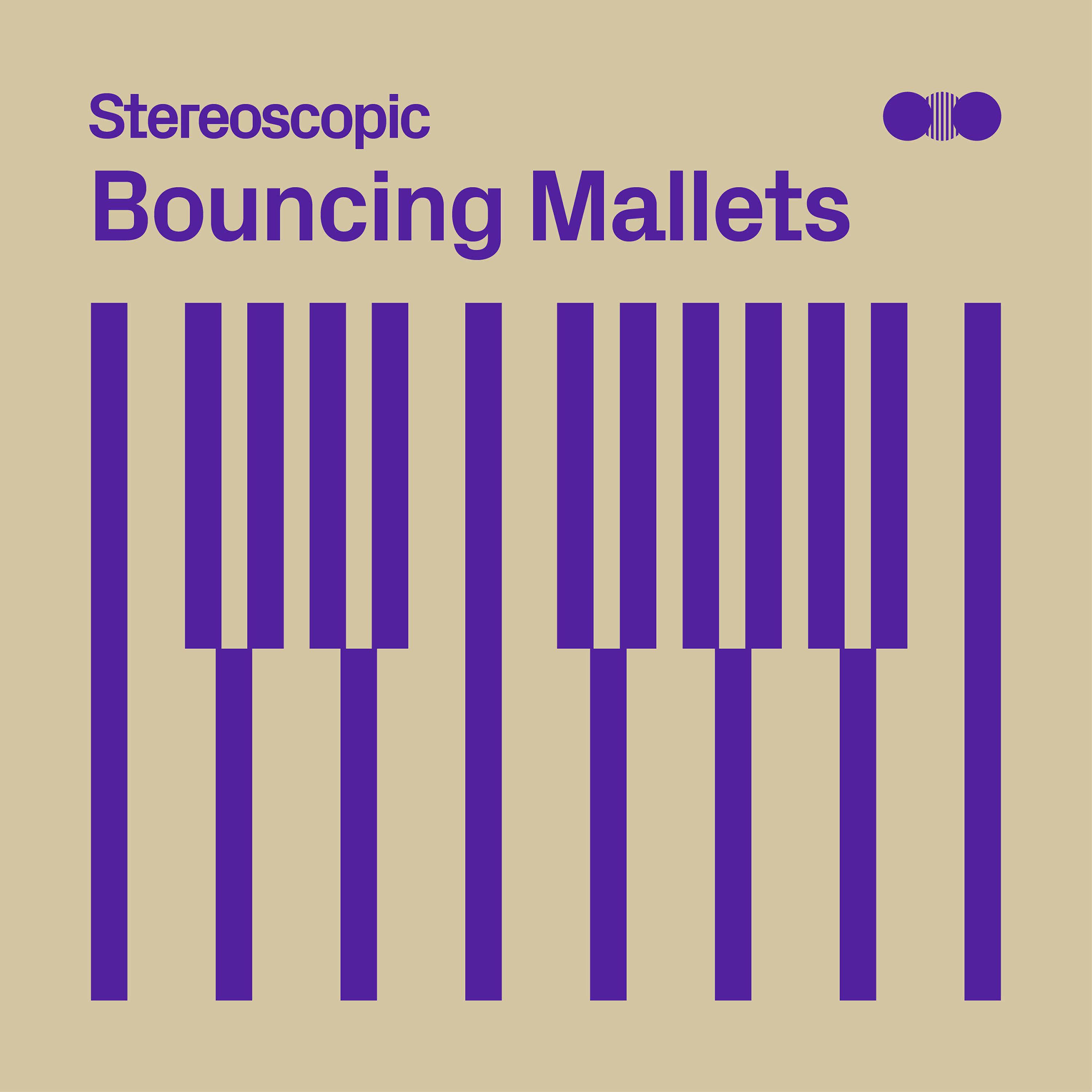 Постер альбома Bouncing Mallets