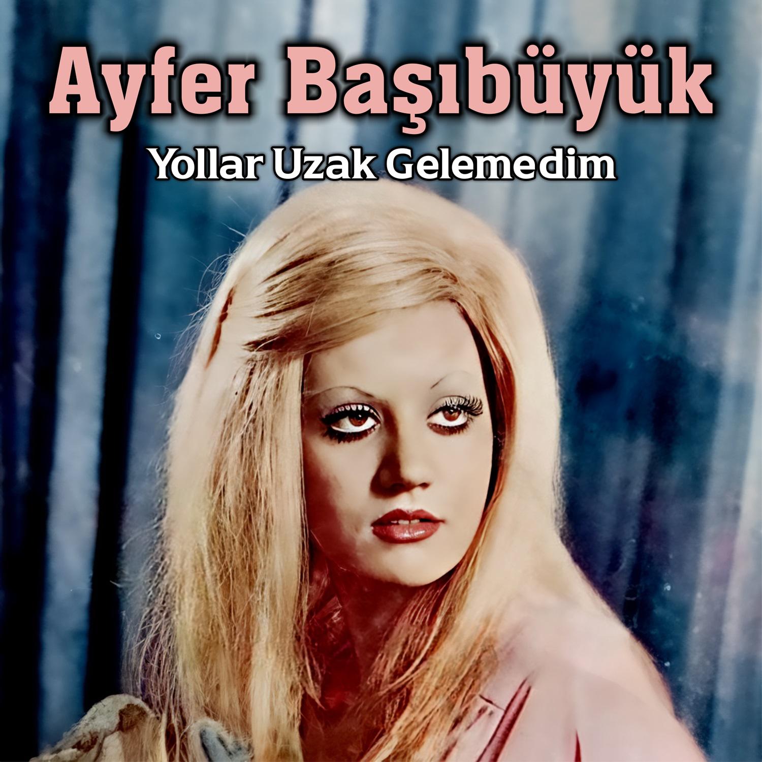 Постер альбома Yollar Uzak Gelemedim