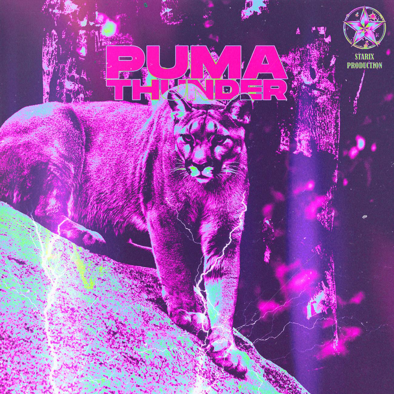 Постер альбома Puma Thunder