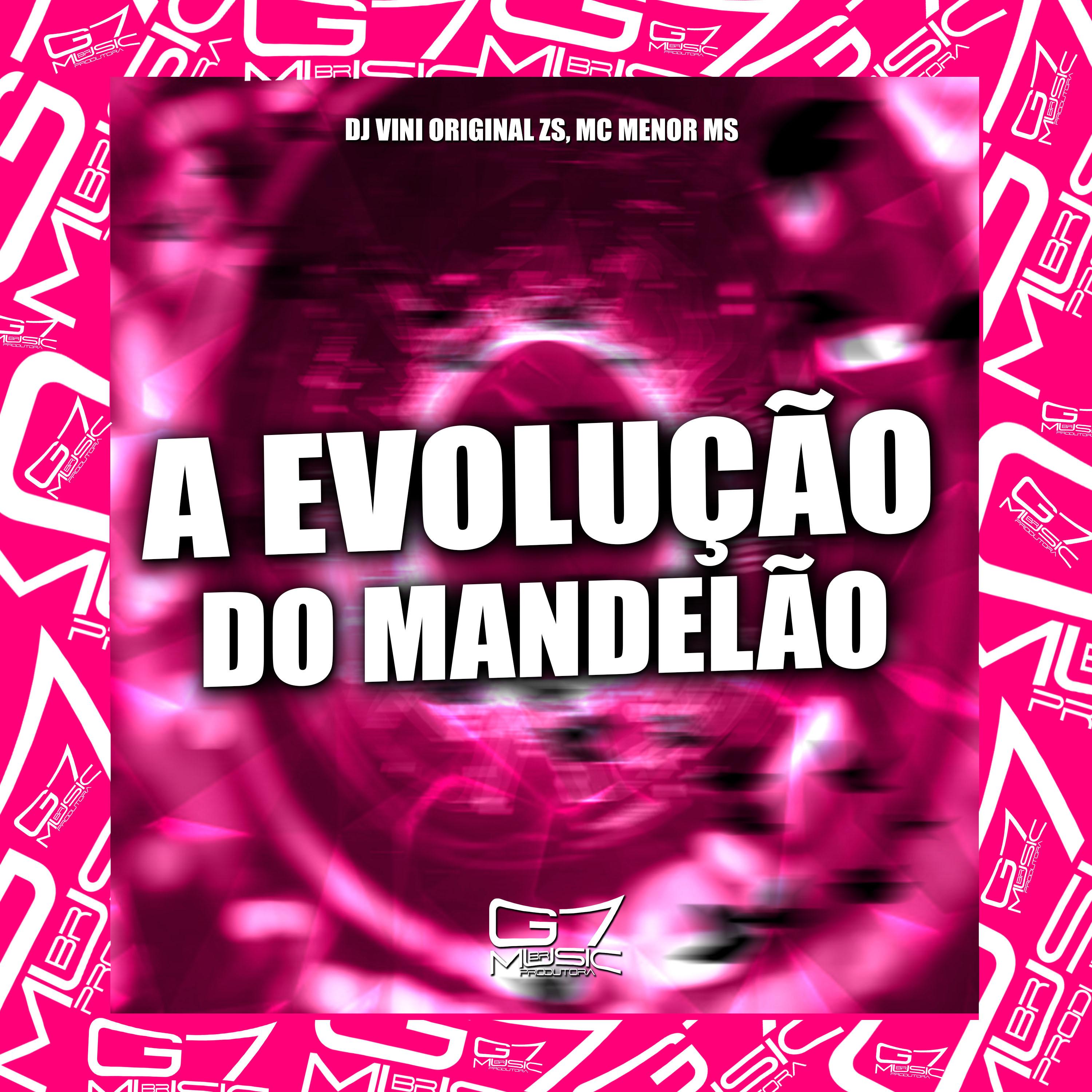 Постер альбома A Evolução do Mandelão