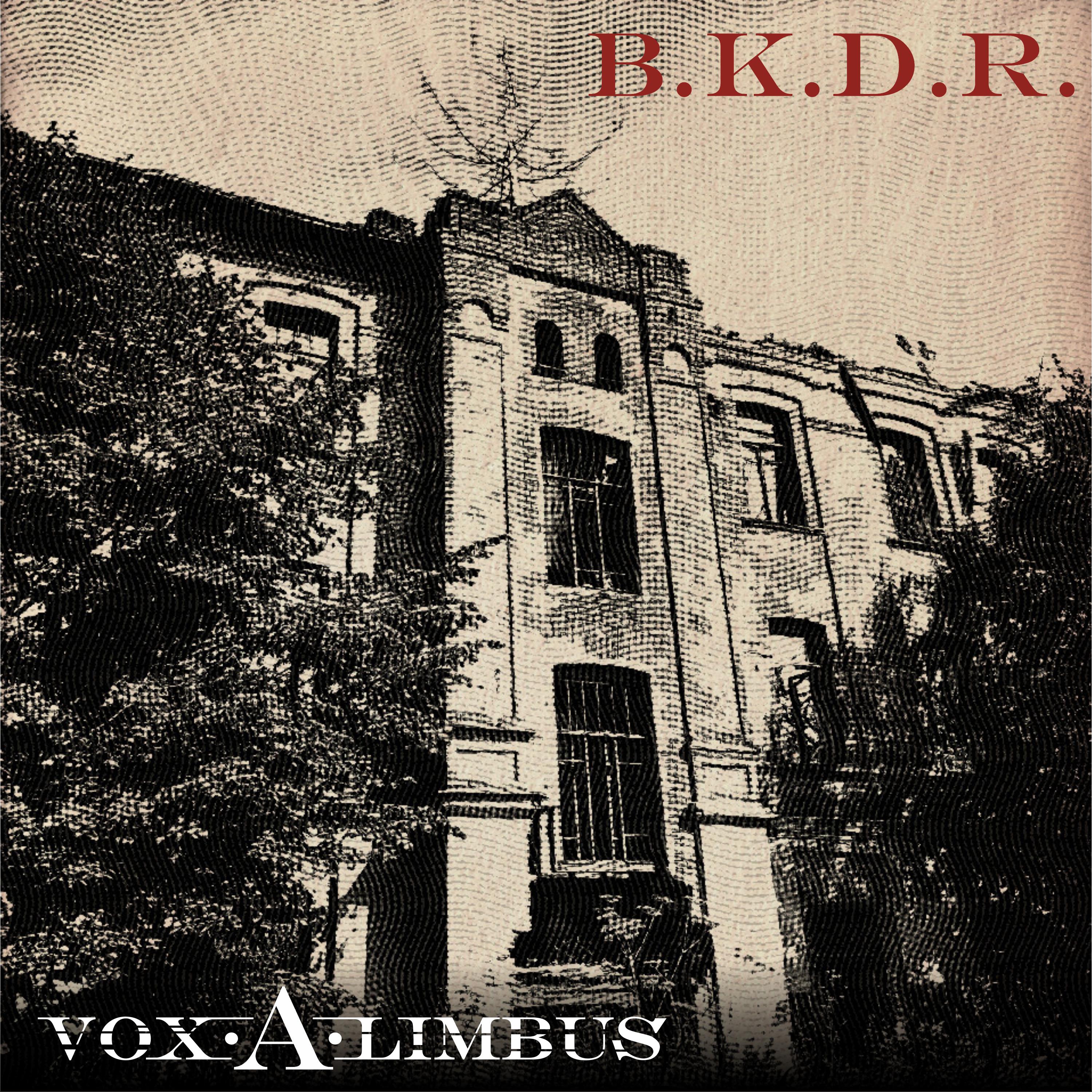 Постер альбома B. K. D. R.