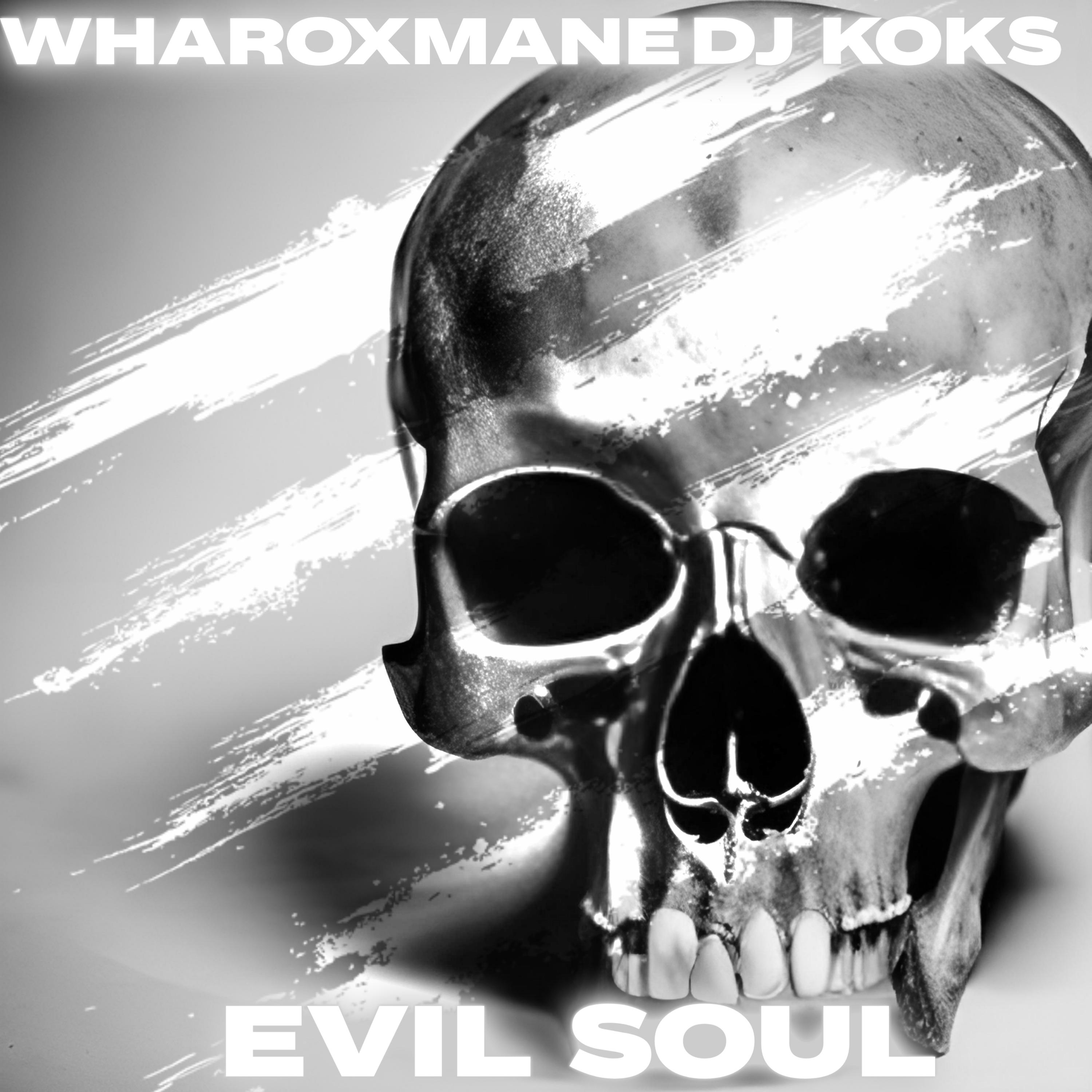 Постер альбома Evil Soul