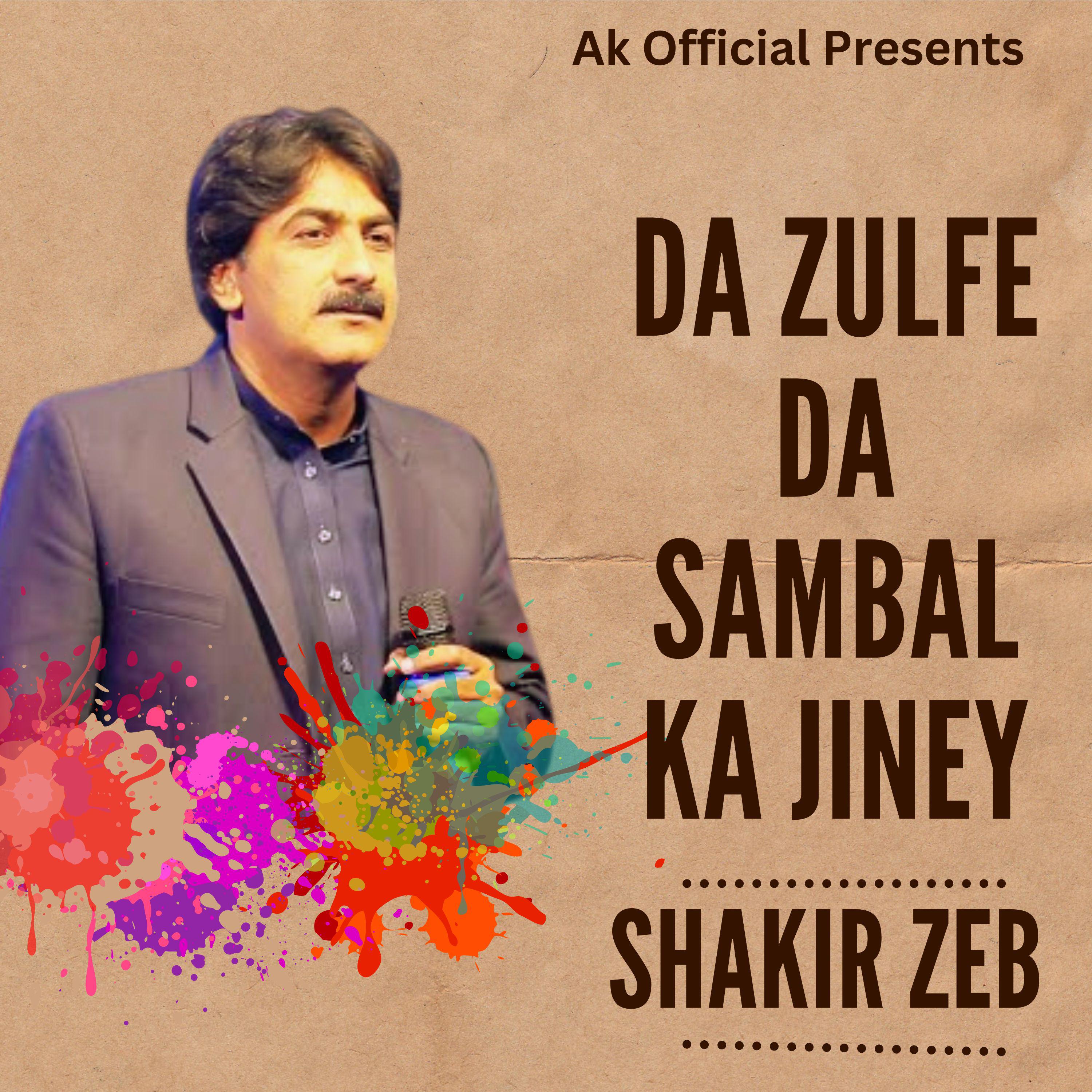 Постер альбома Da Zulfe Da Sambal Ka Jiney