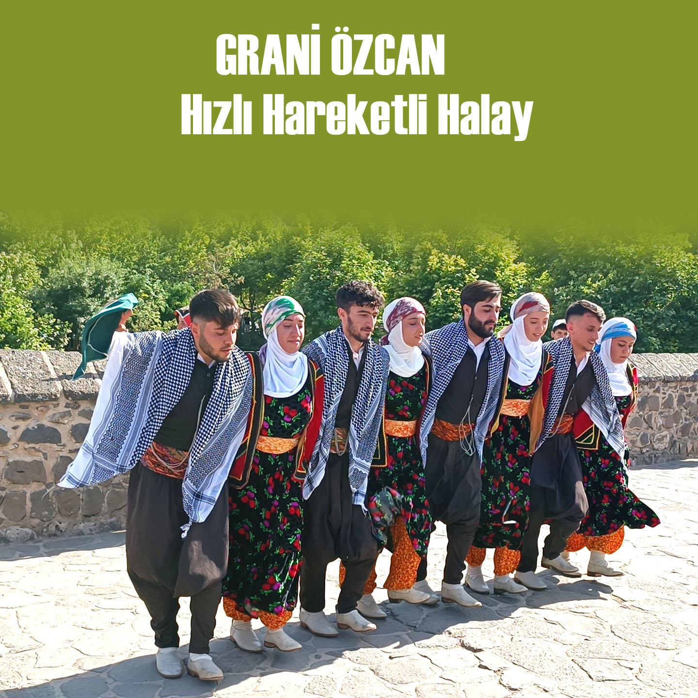 Постер альбома Hızlı Hareketli Halay