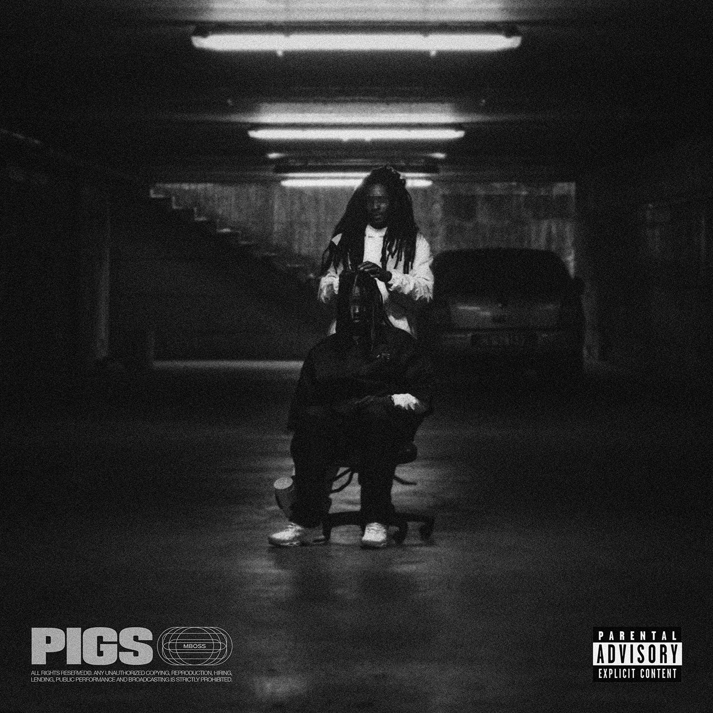 Постер альбома PIGS