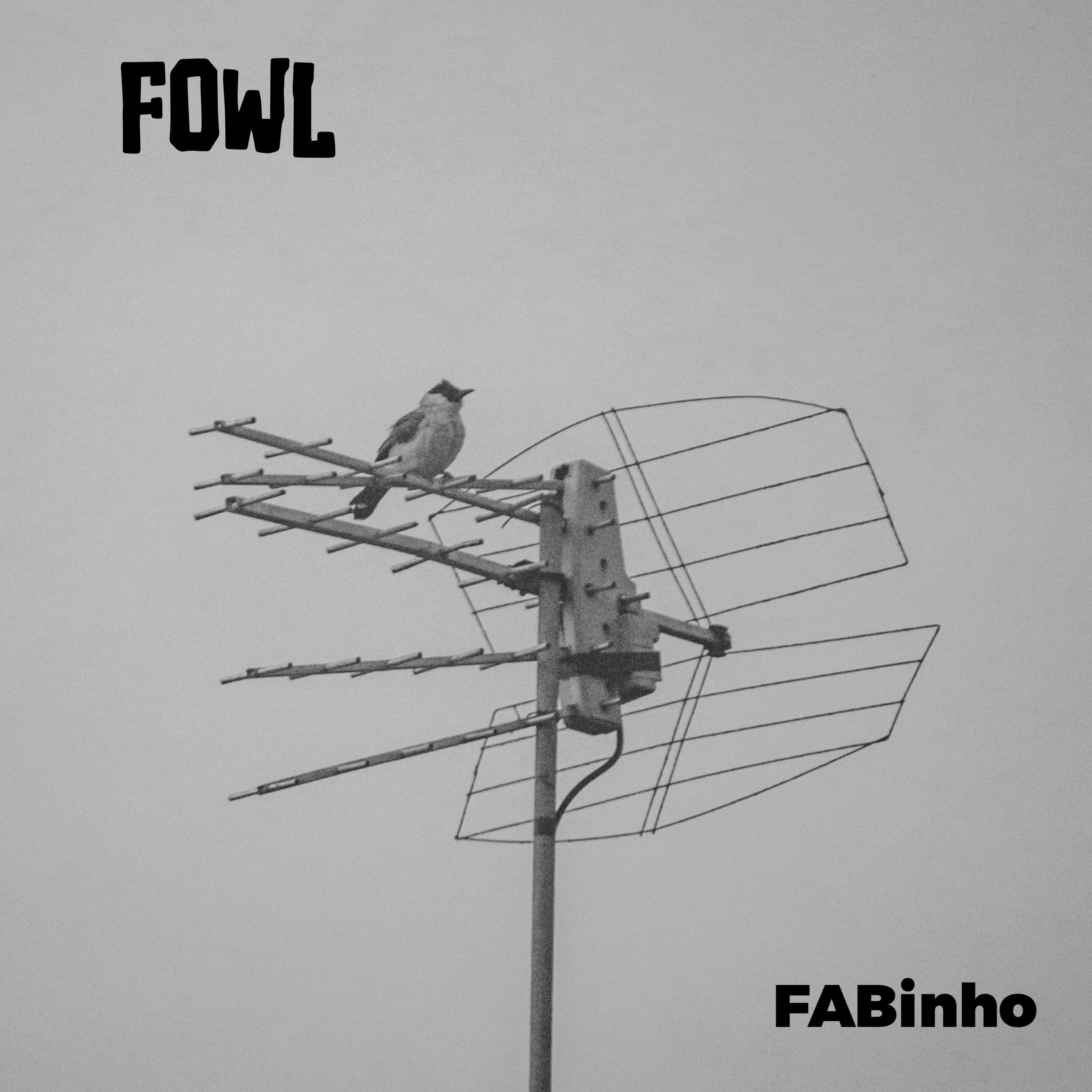 Постер альбома FOWL