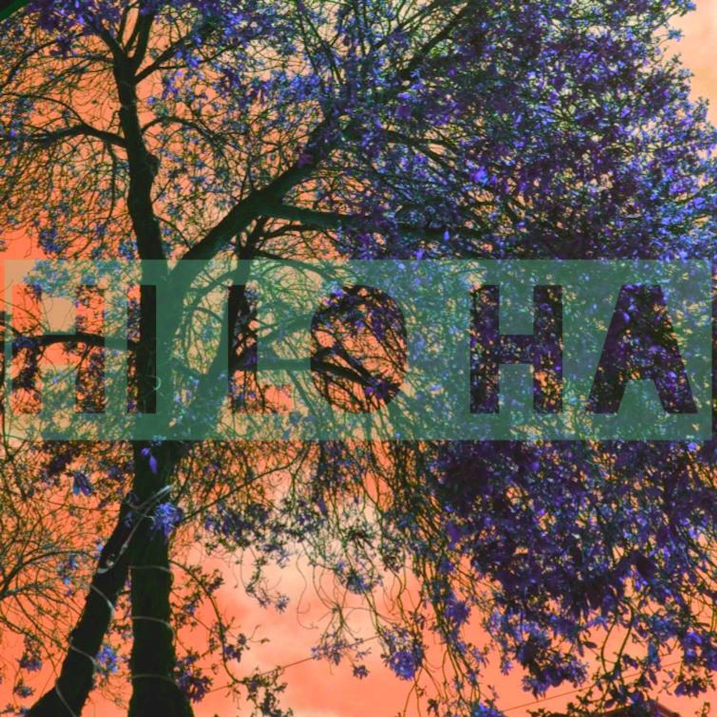 Hi Lo Ha - Woulda Coulda Shoulda Man