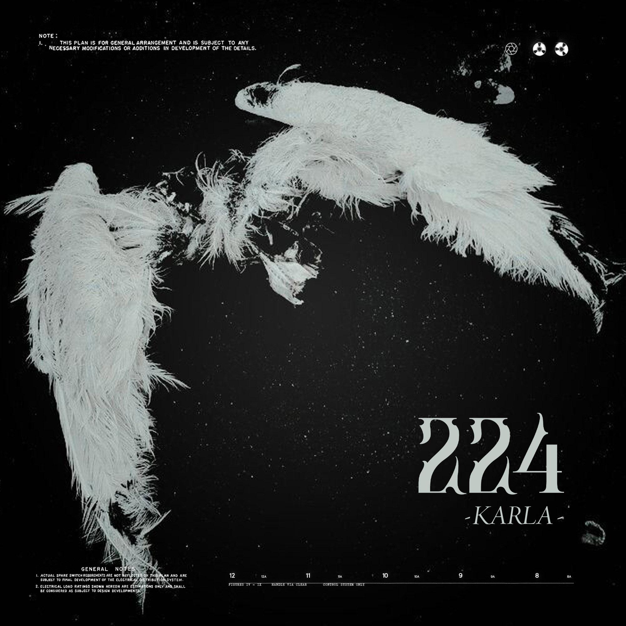 Постер альбома 224