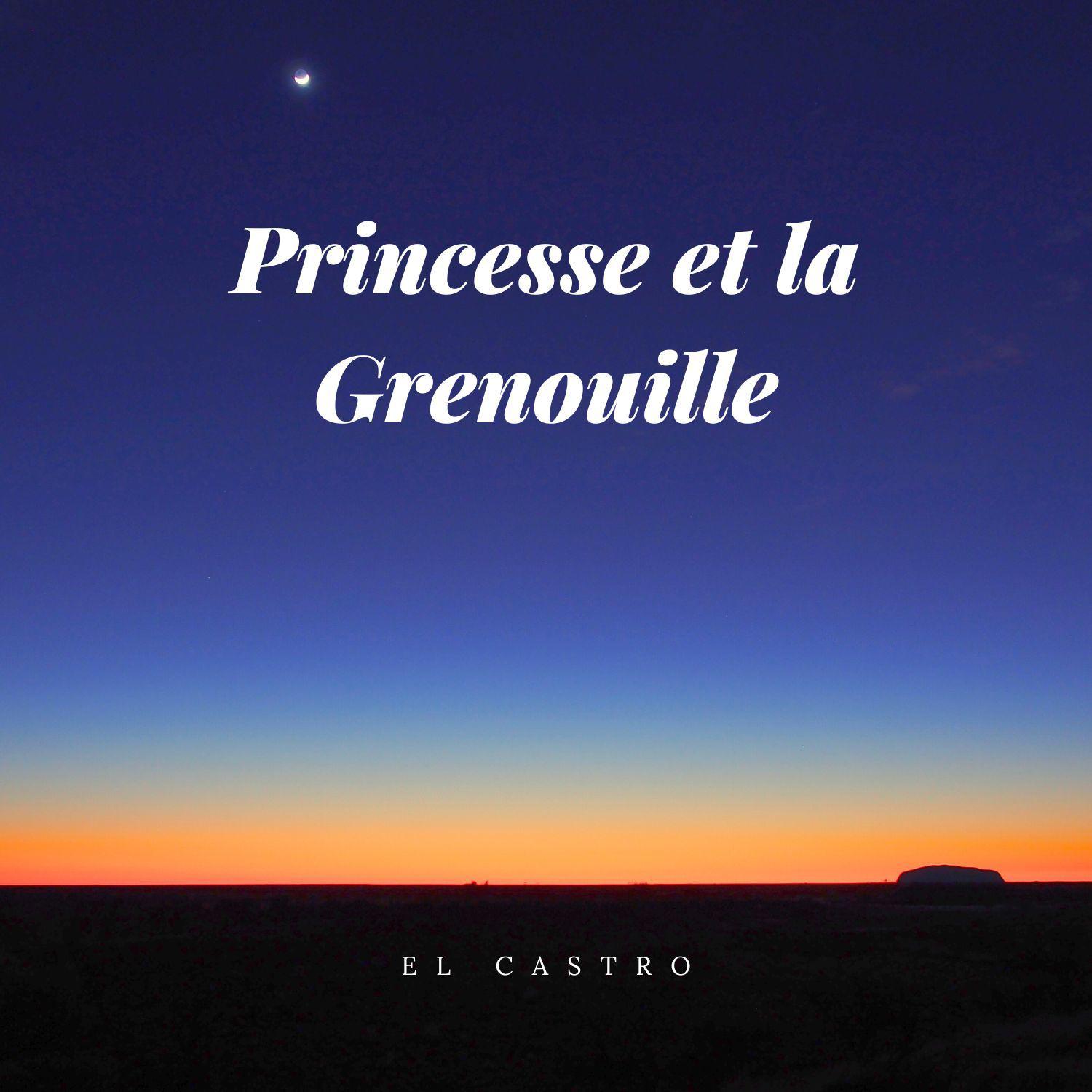 Постер альбома Princesse Et La Grenouille