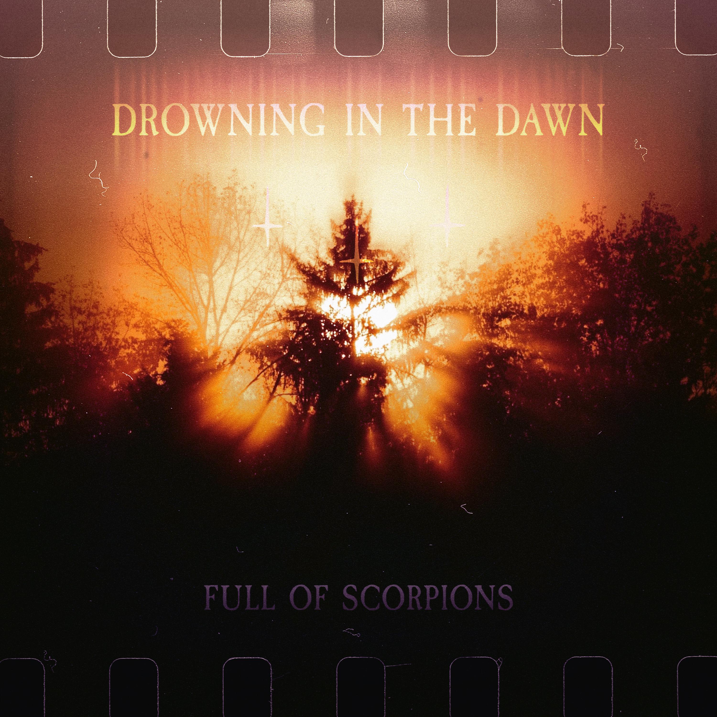 Постер альбома Drowning in the Dawn