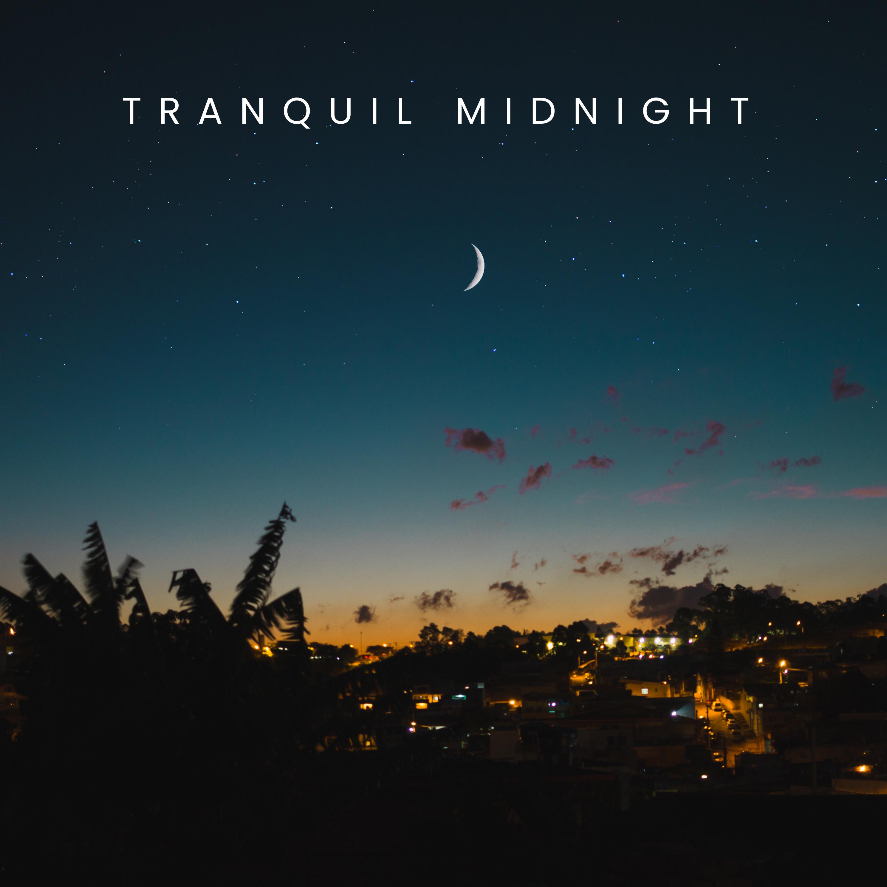 Постер альбома Tranquil Midnight