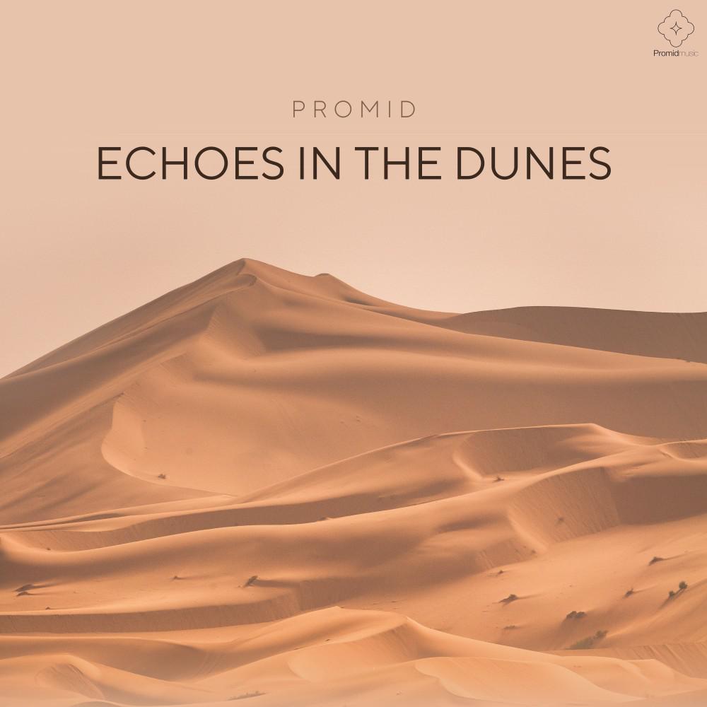 Постер альбома Echoes in the Dunes
