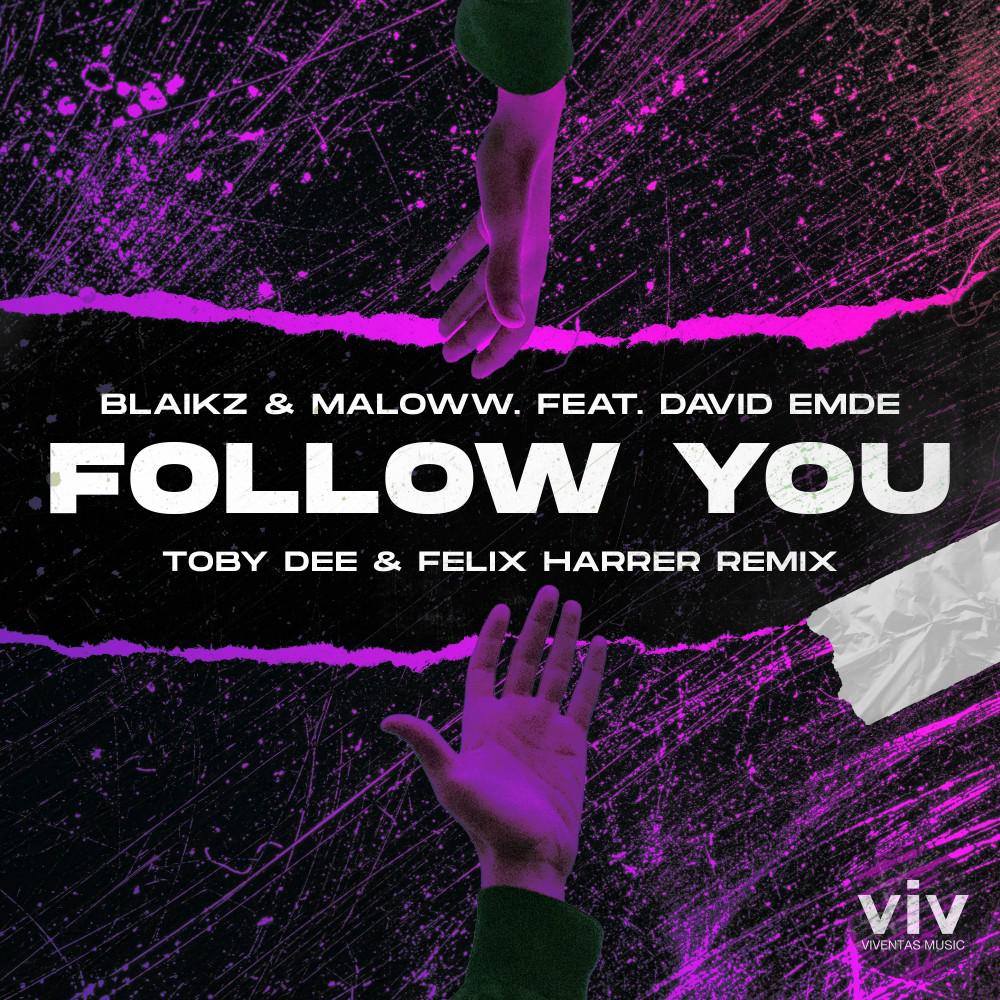 Постер альбома Follow You (Toby DEE & Felix Harrer Remix)