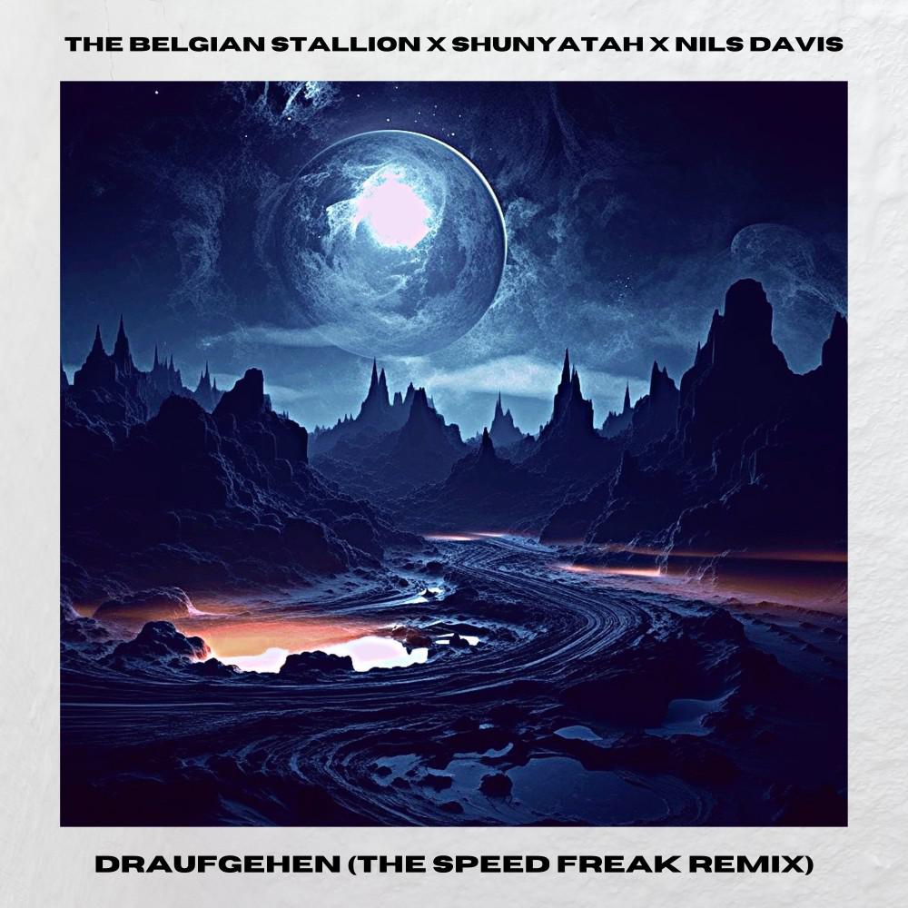 Постер альбома Draufgehen (The Speed Freak Remix)