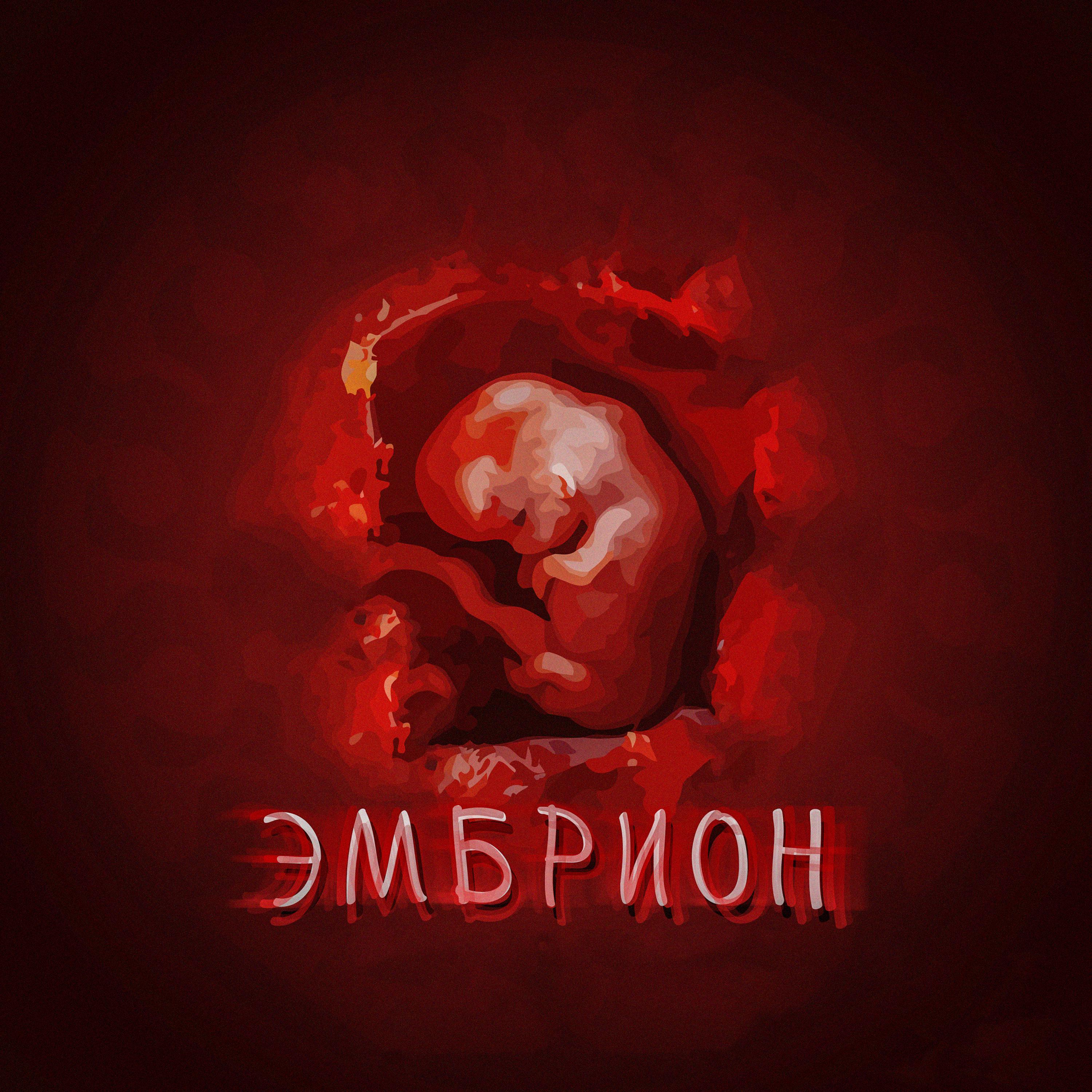 Постер альбома Эмбрион