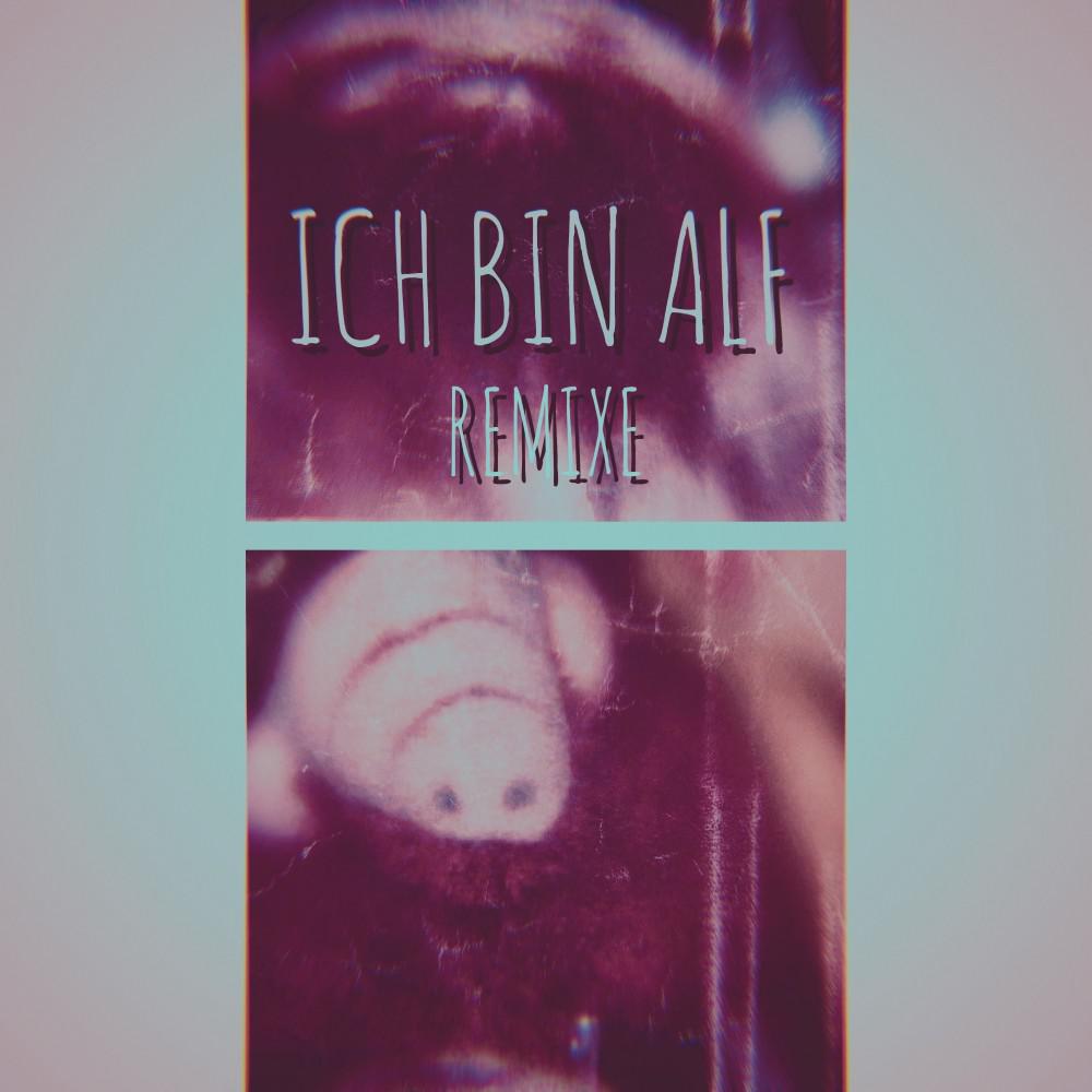 Постер альбома Ich bin Alf (Remixe)