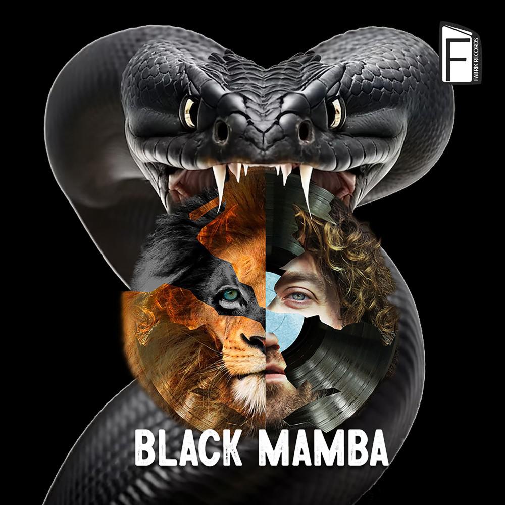 Постер альбома Black Mamba