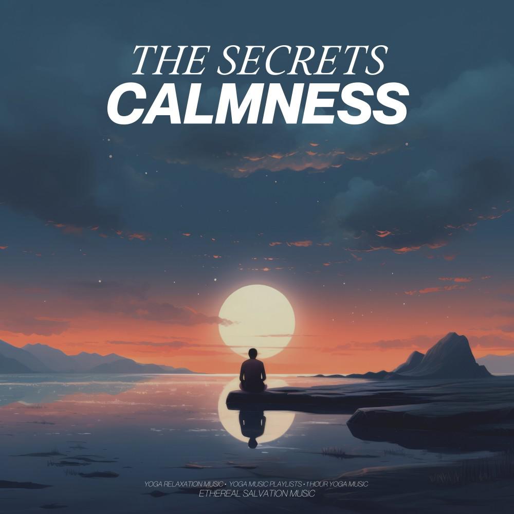 Постер альбома Secrets of Calmness