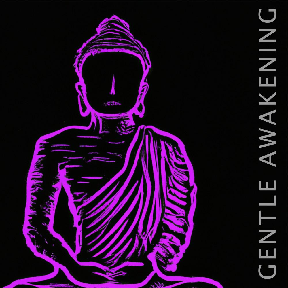 Постер альбома Gentle Awakening