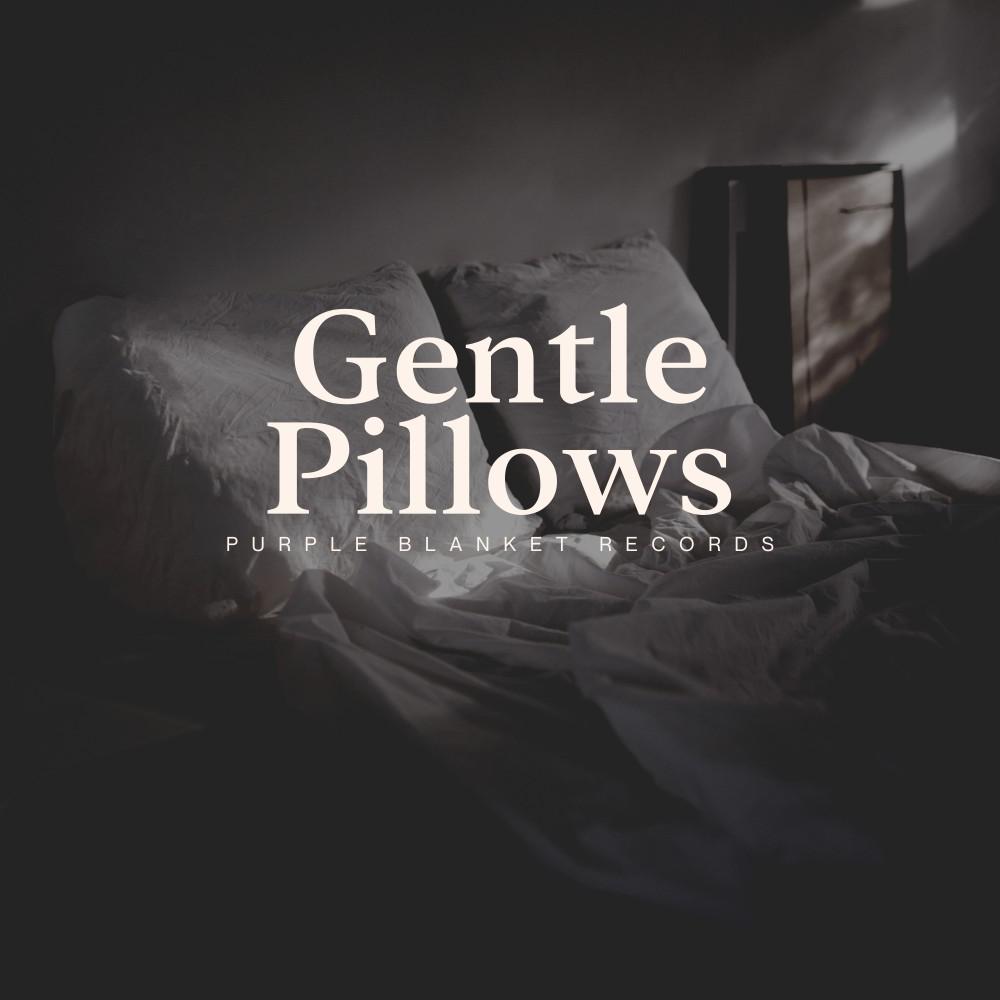 Постер альбома Gentle Pillows