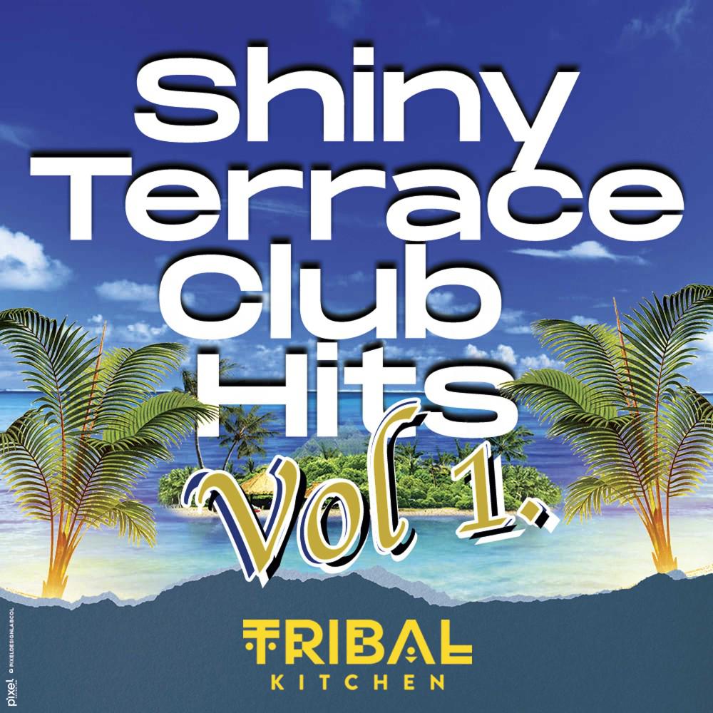 Постер альбома Shiny Terrace Club Hits (Vol. 1)