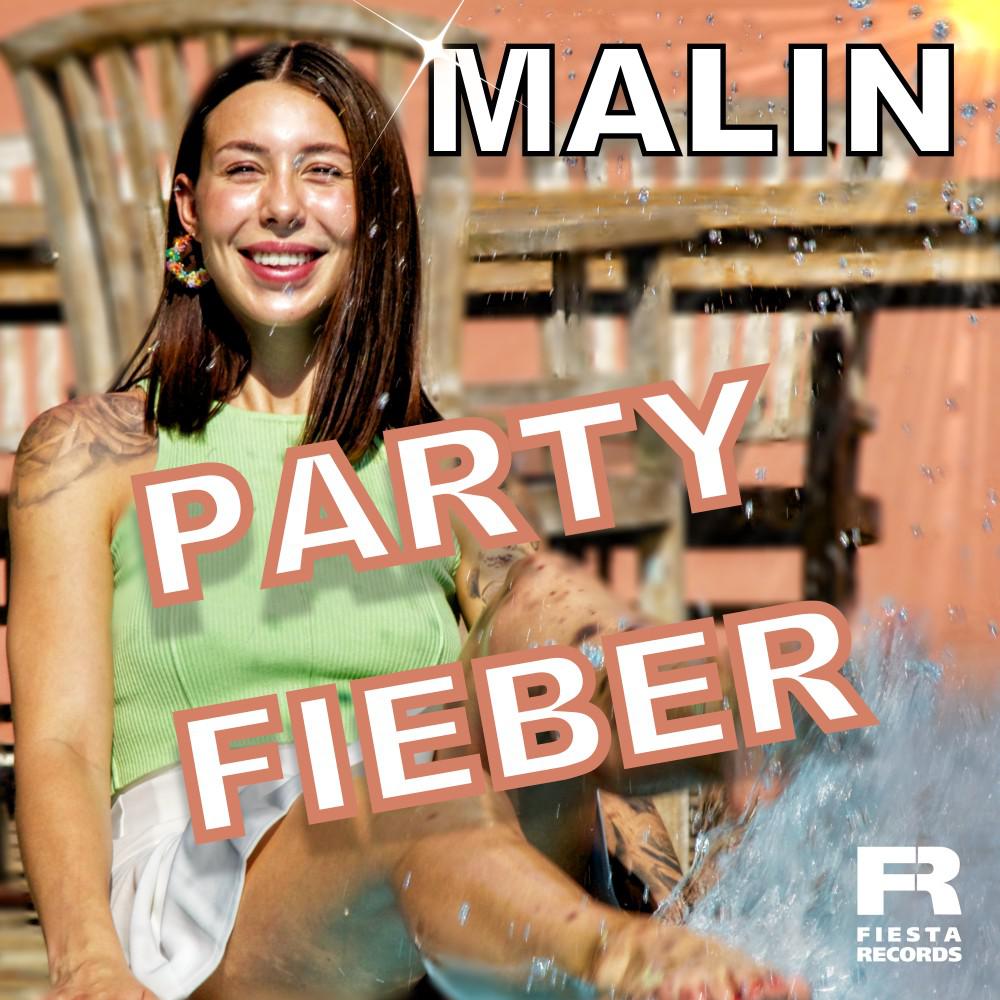 Постер альбома Partyfieber