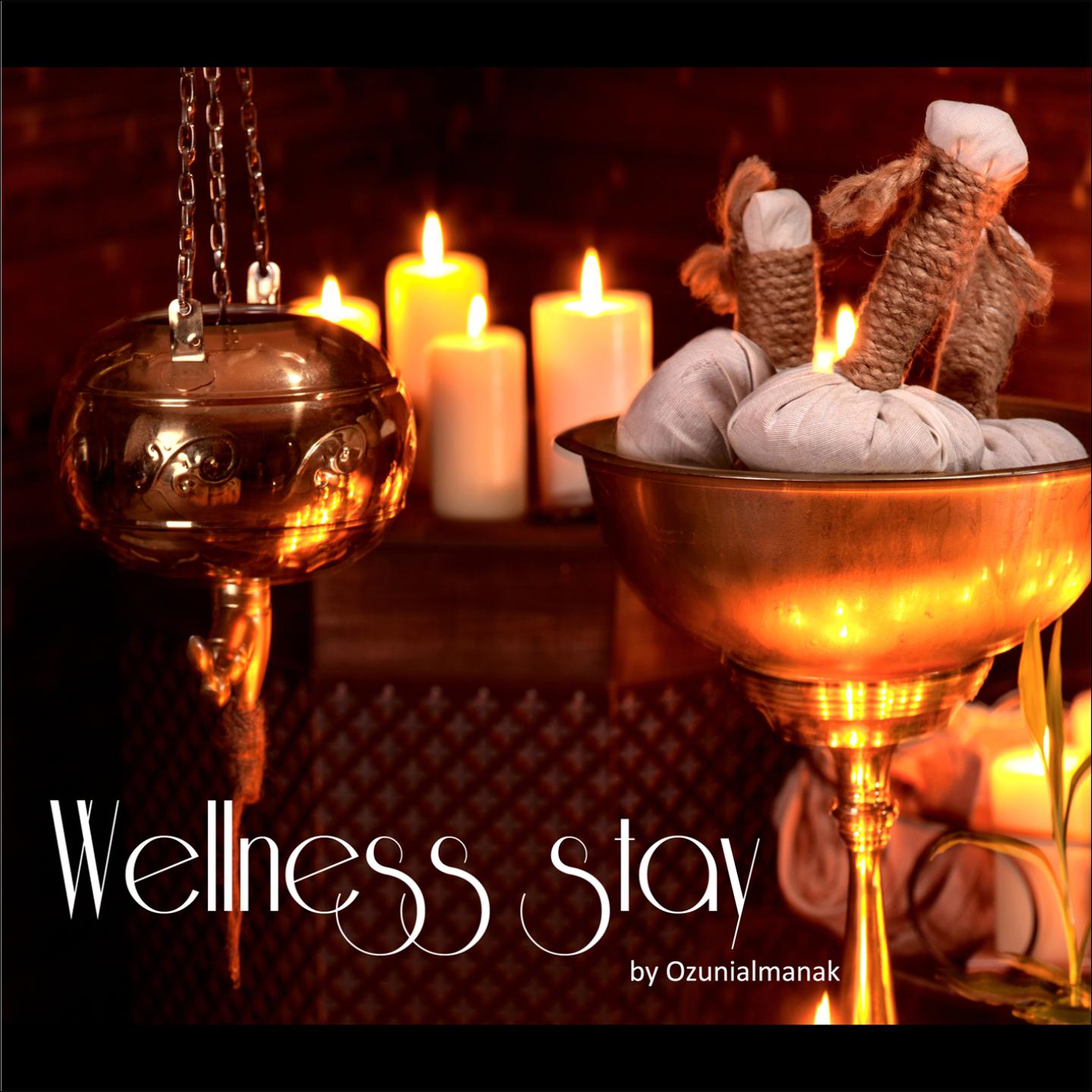 Постер альбома Wellness stay