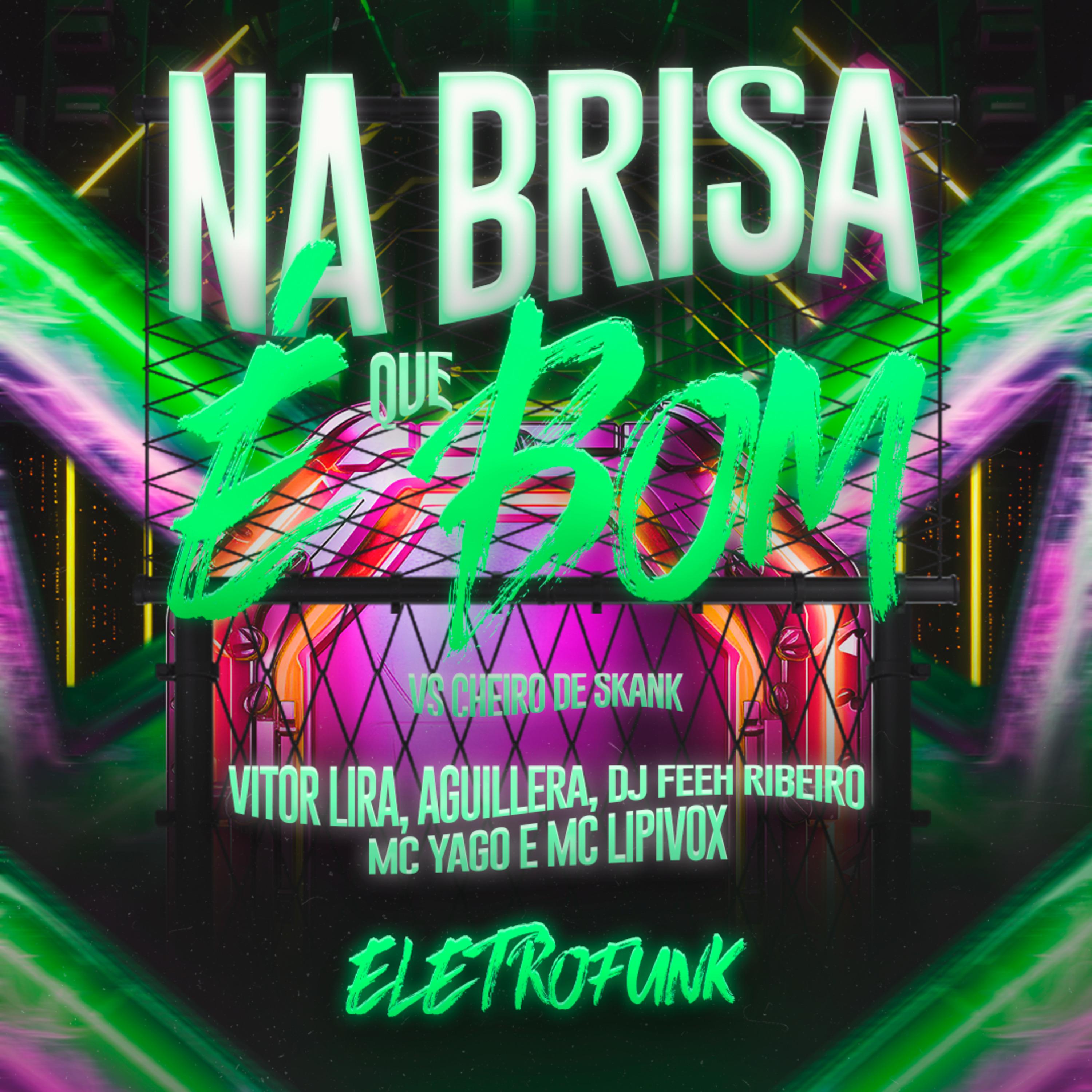 Постер альбома Na Brisa Que É Bom Vs Cheiro do Skunk - Eletrofunk